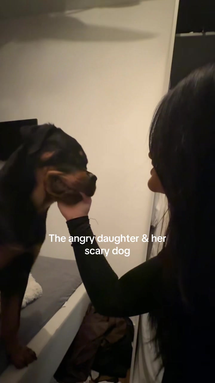 @hannah.nhkk