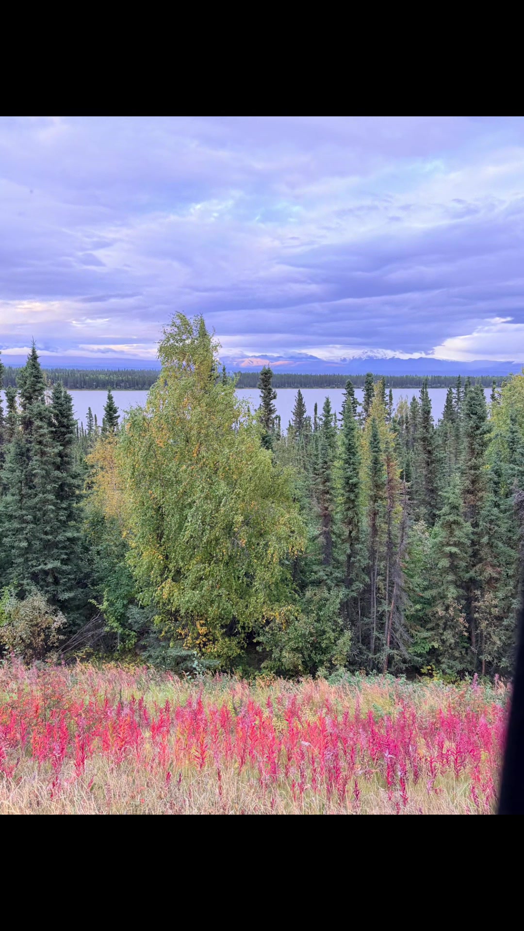 @USA Alaska життя навколо мене