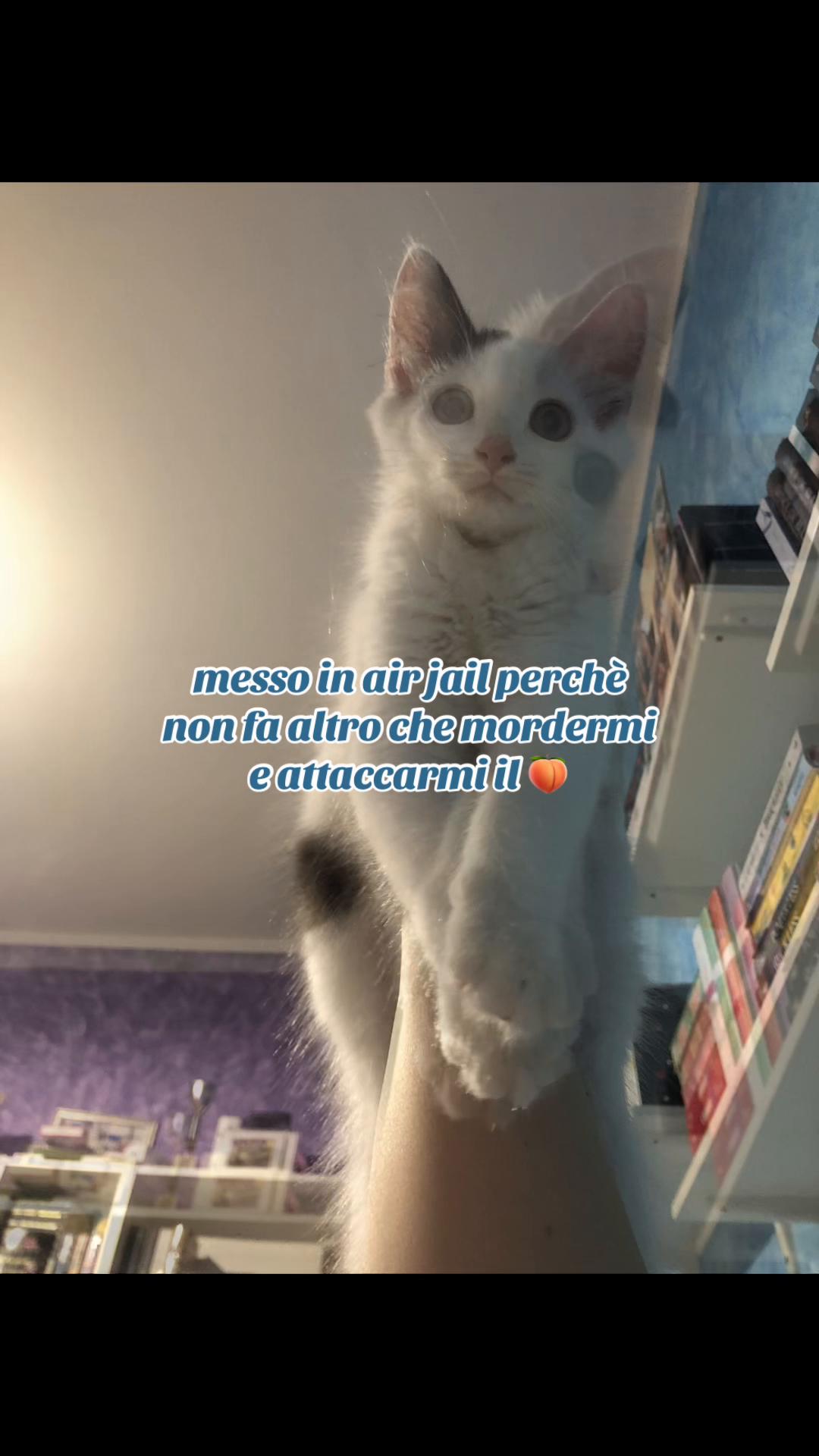 @isa(kira's version)