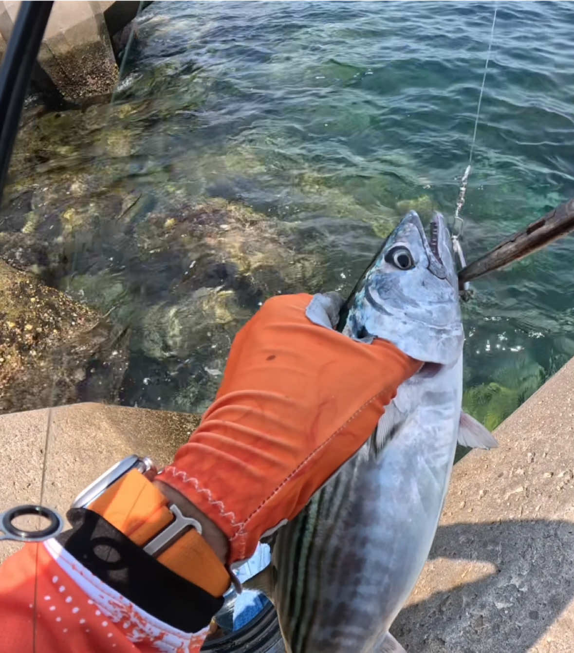 @Ranfery C. G. Sport_Fishing
