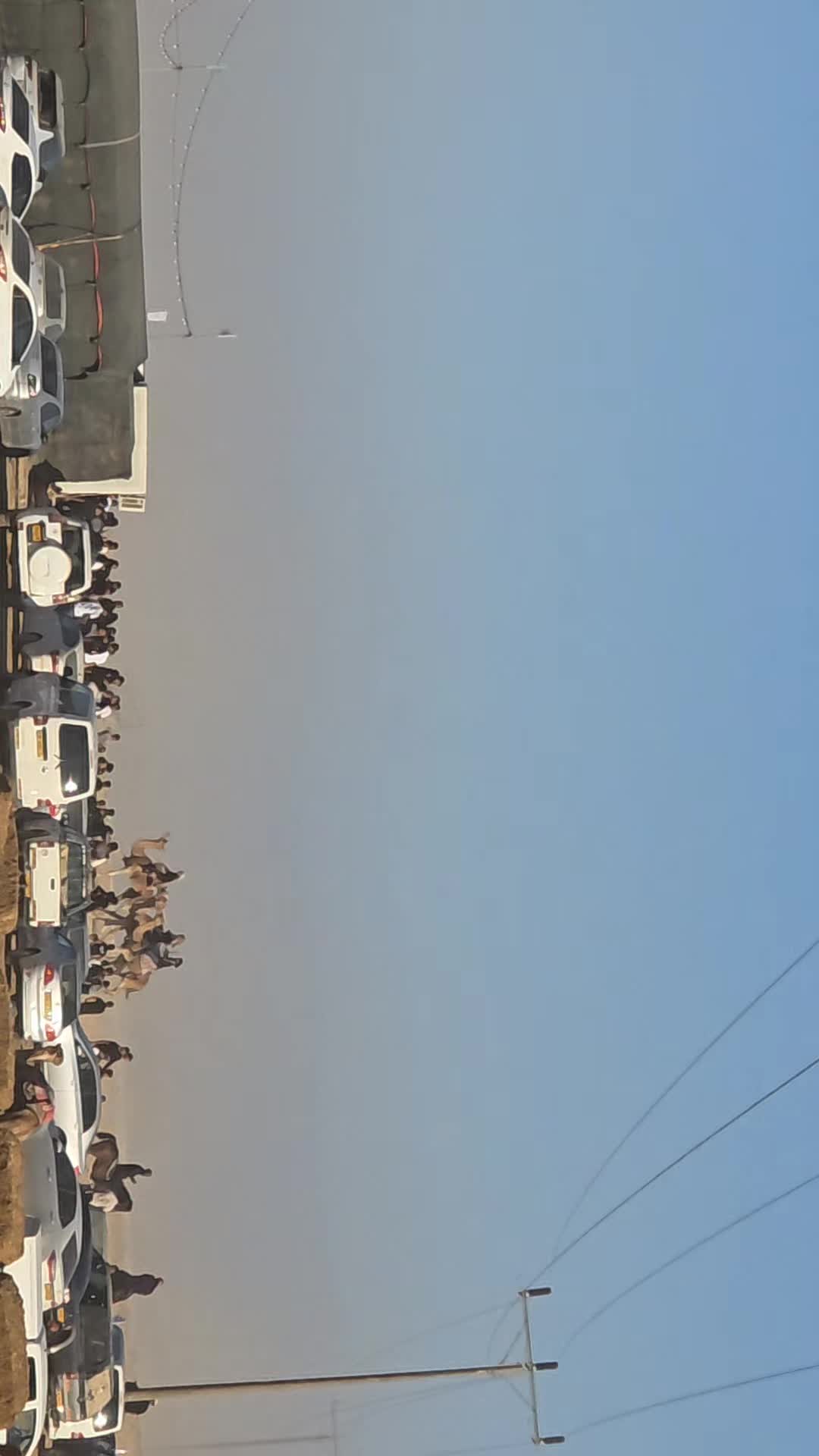 @رامي تبرنه
