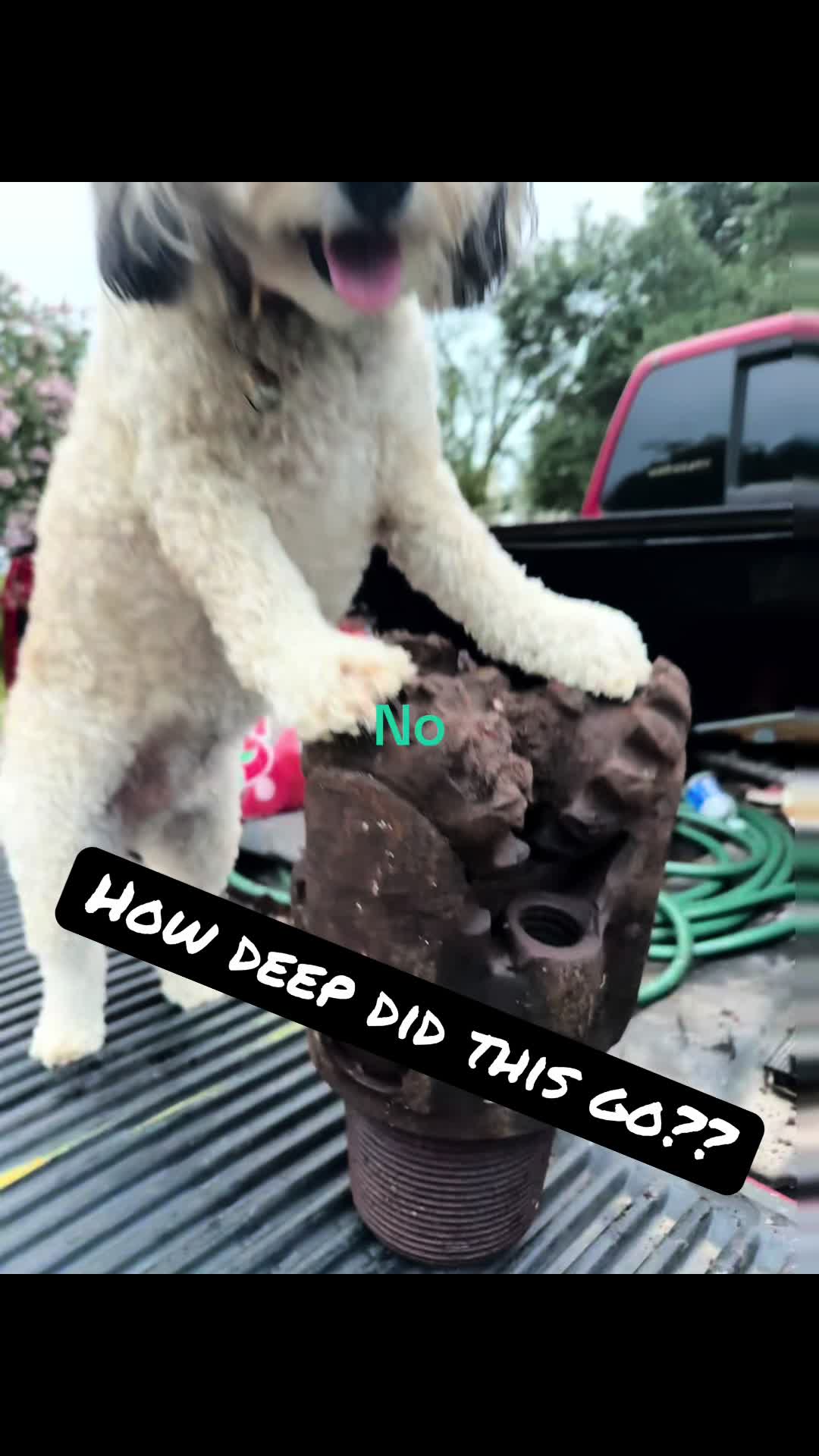 @bigdoodleandlittledoodle