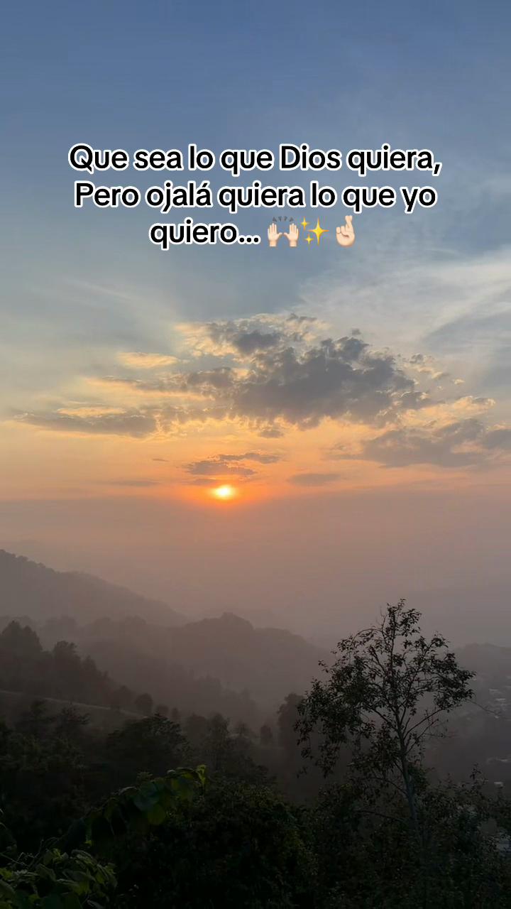 @Noemi Hernandez