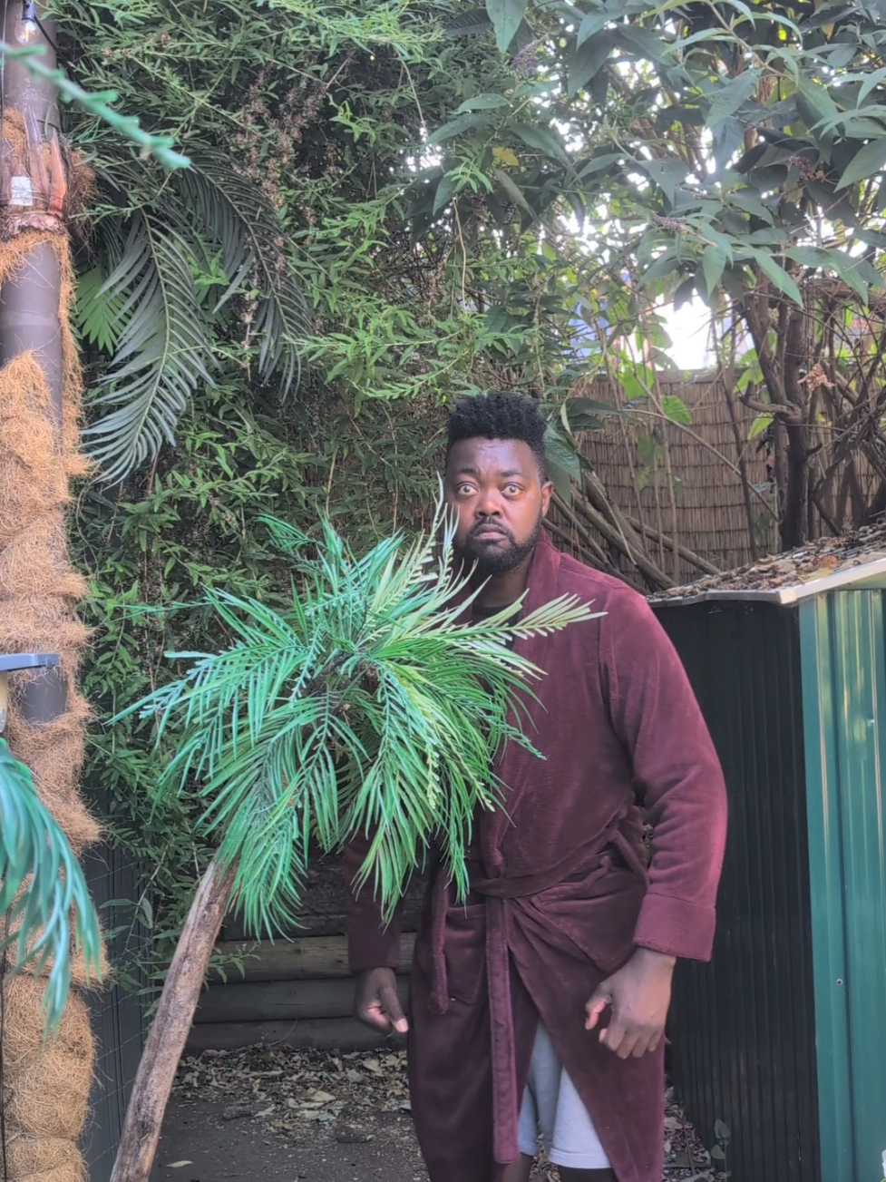 @Gambino Akuboy