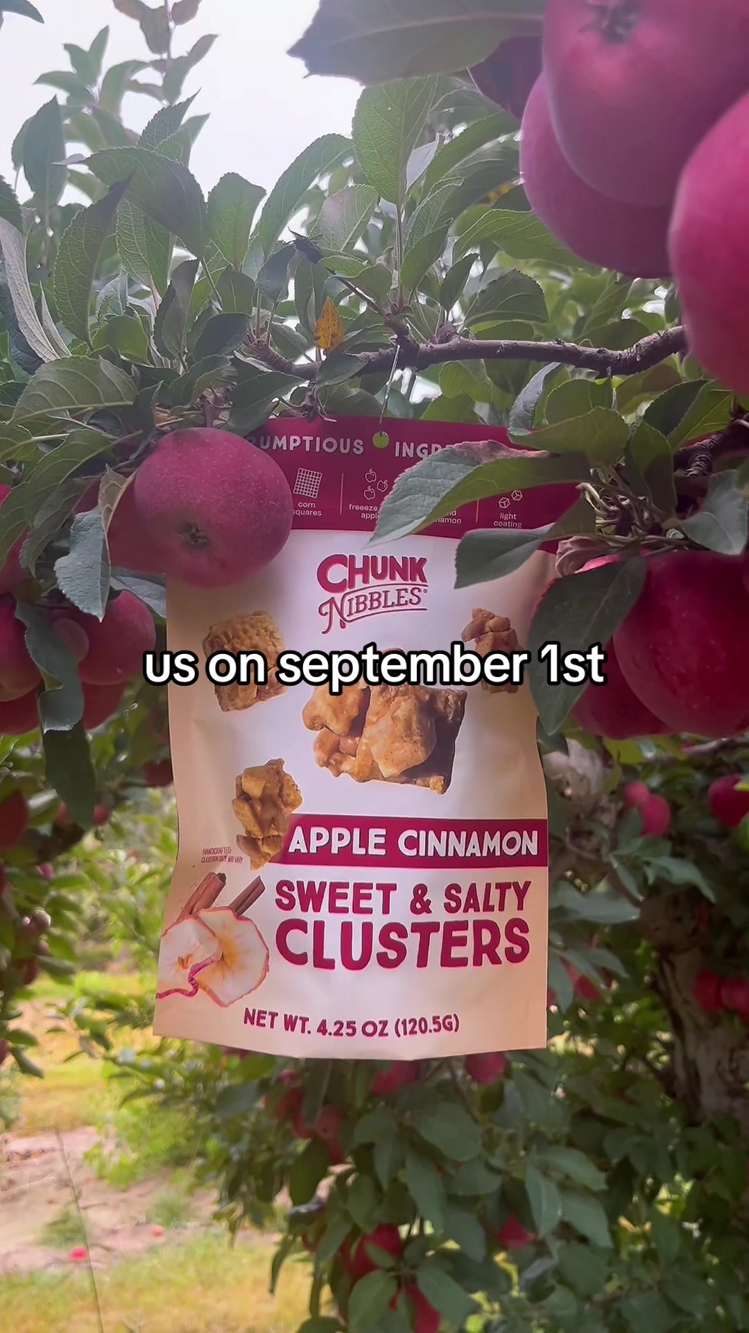 @Chunk Nibbles