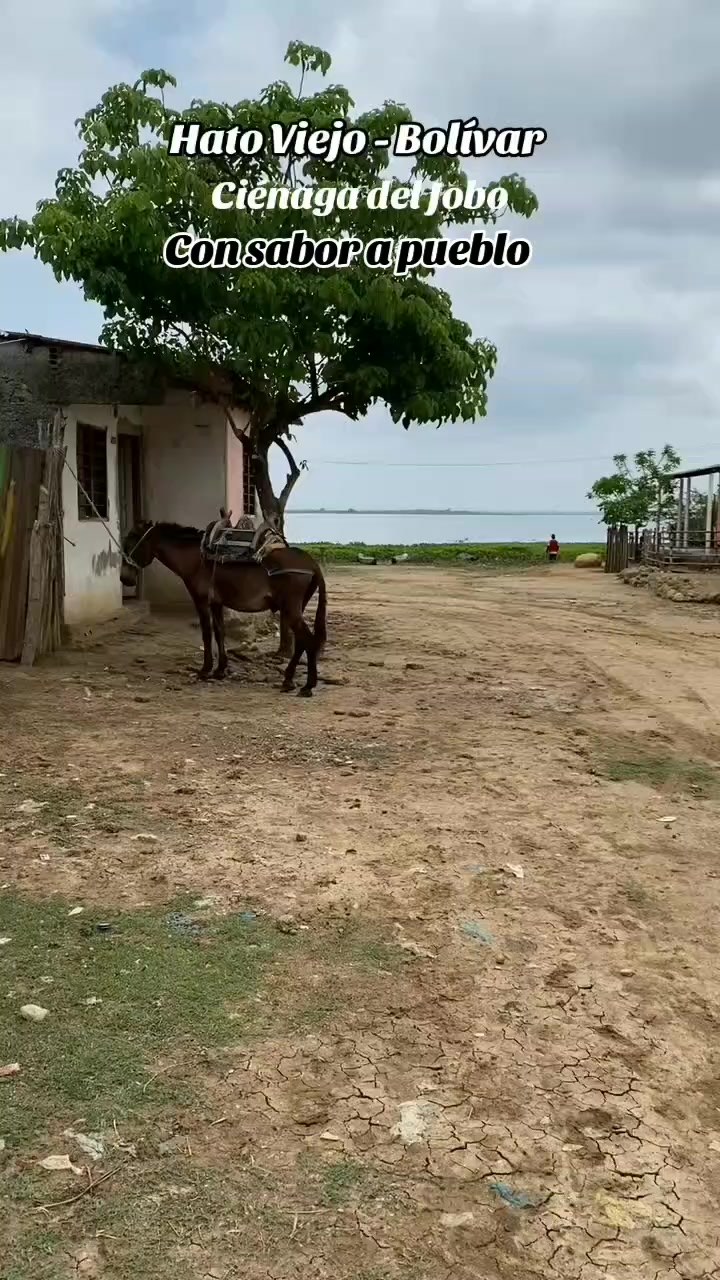 @Alex bula 🧿🐐.