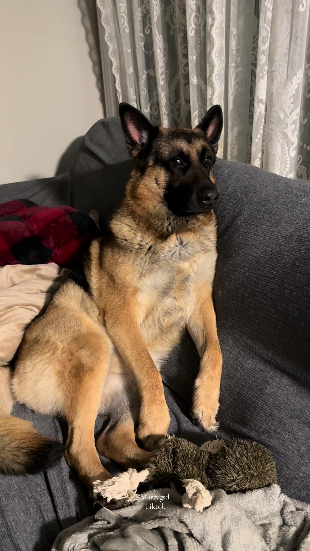 @Martygsd