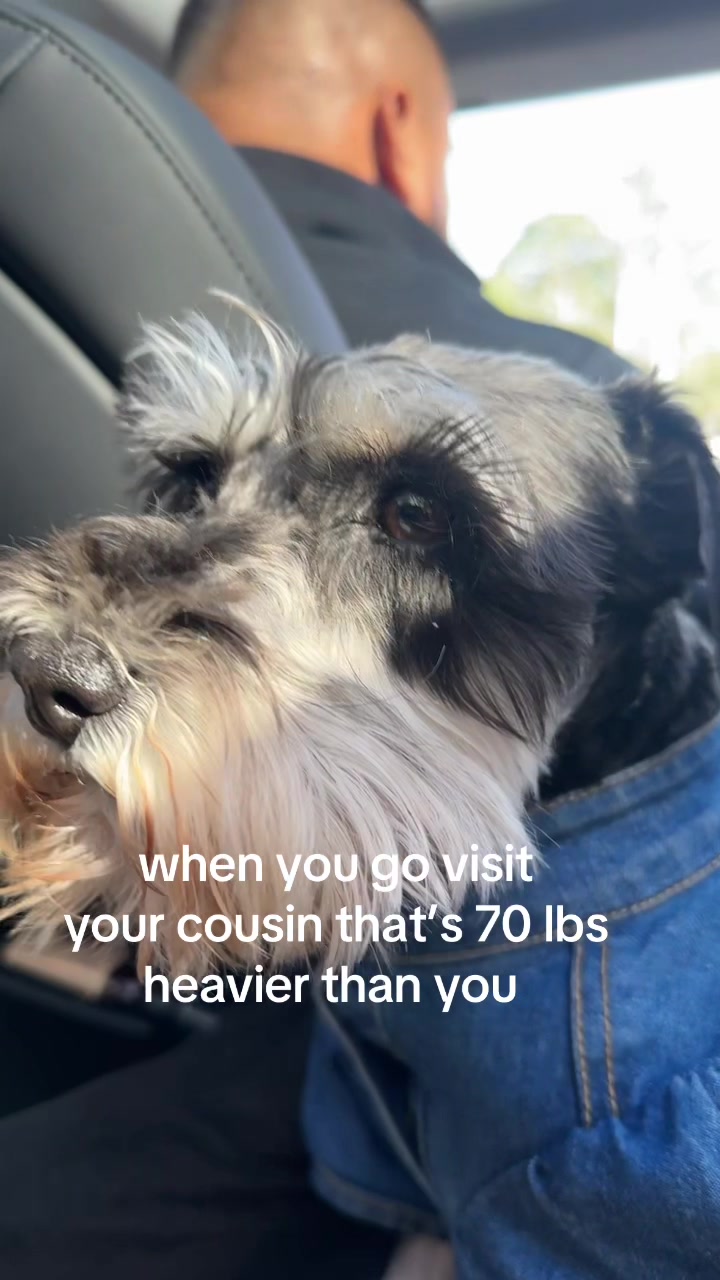 @willow2daisy