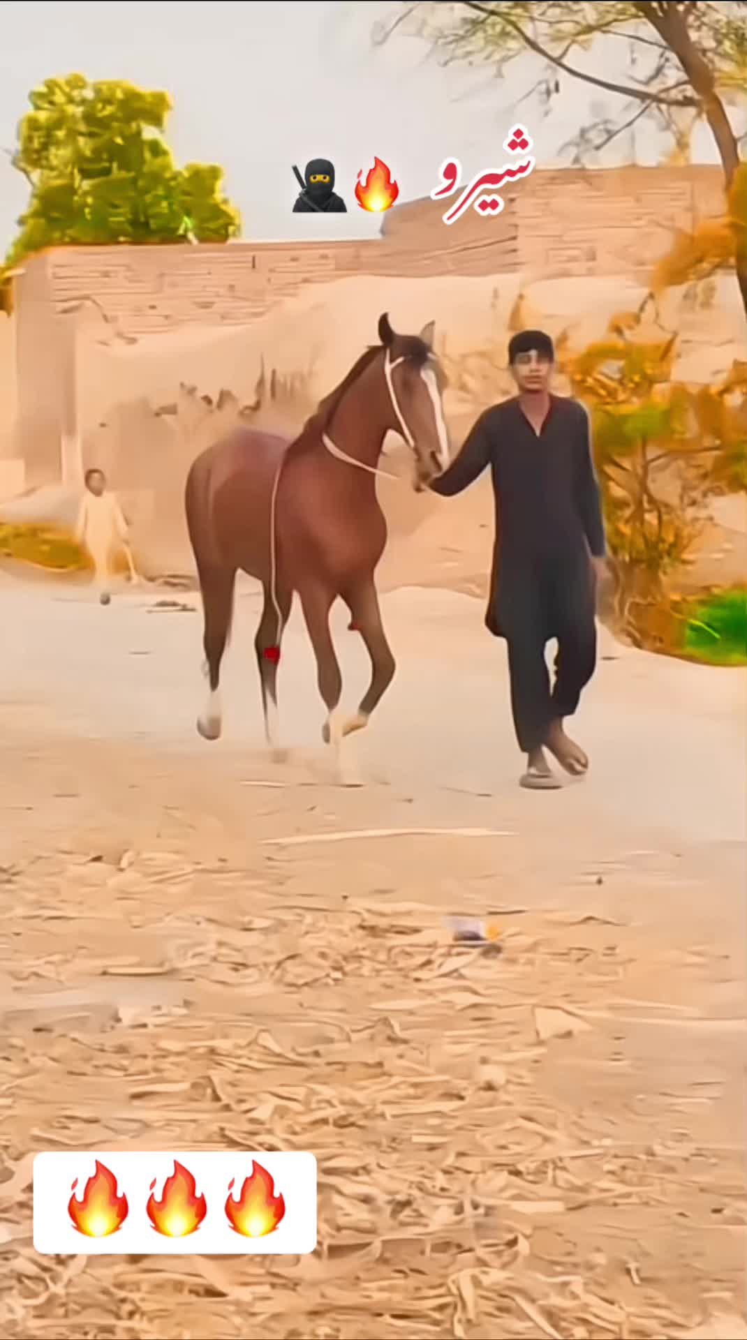 @🏇 MARWARI HORSE RACING 🏇
