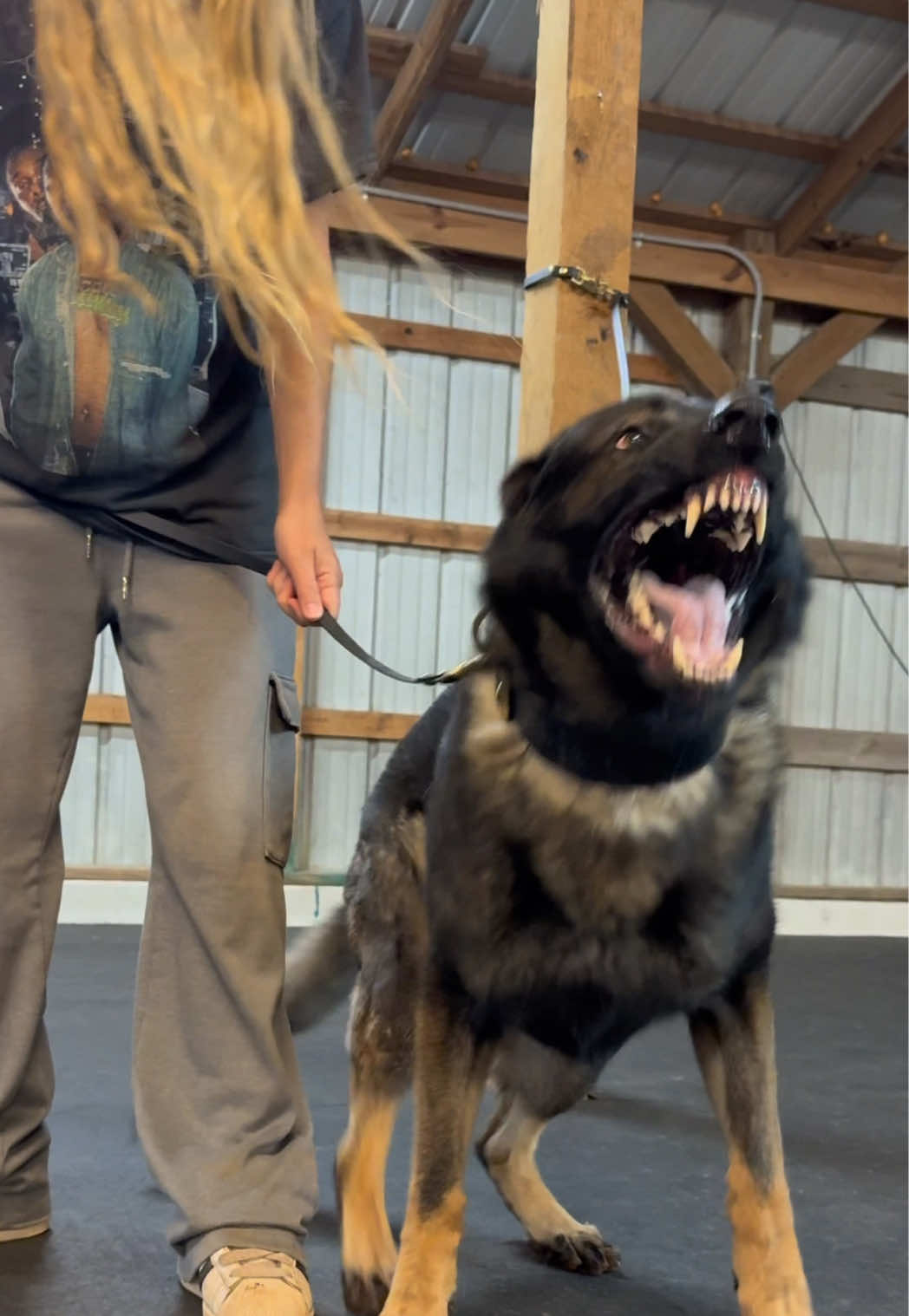 @True Guard K9 I Tara
