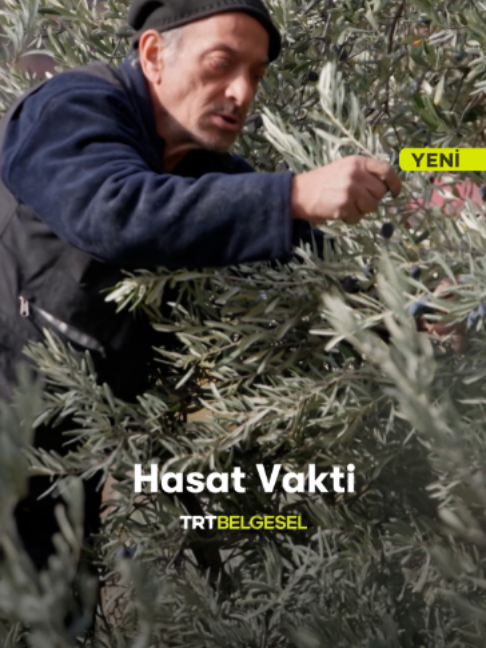 @TRT Belgesel