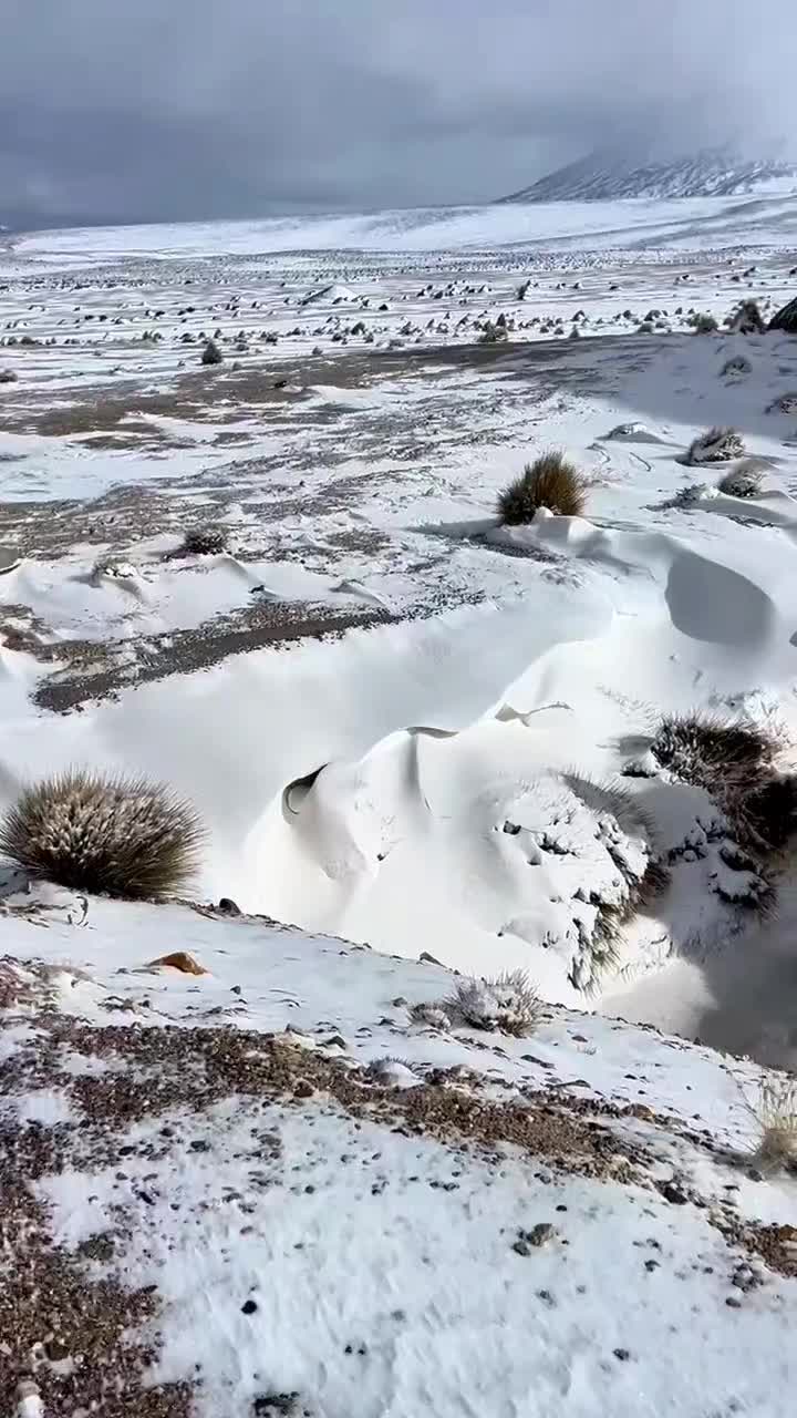 @Arica es Bacán
