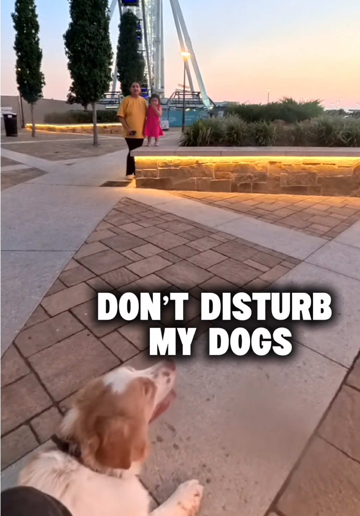 @Neko, Tokahli and Bear