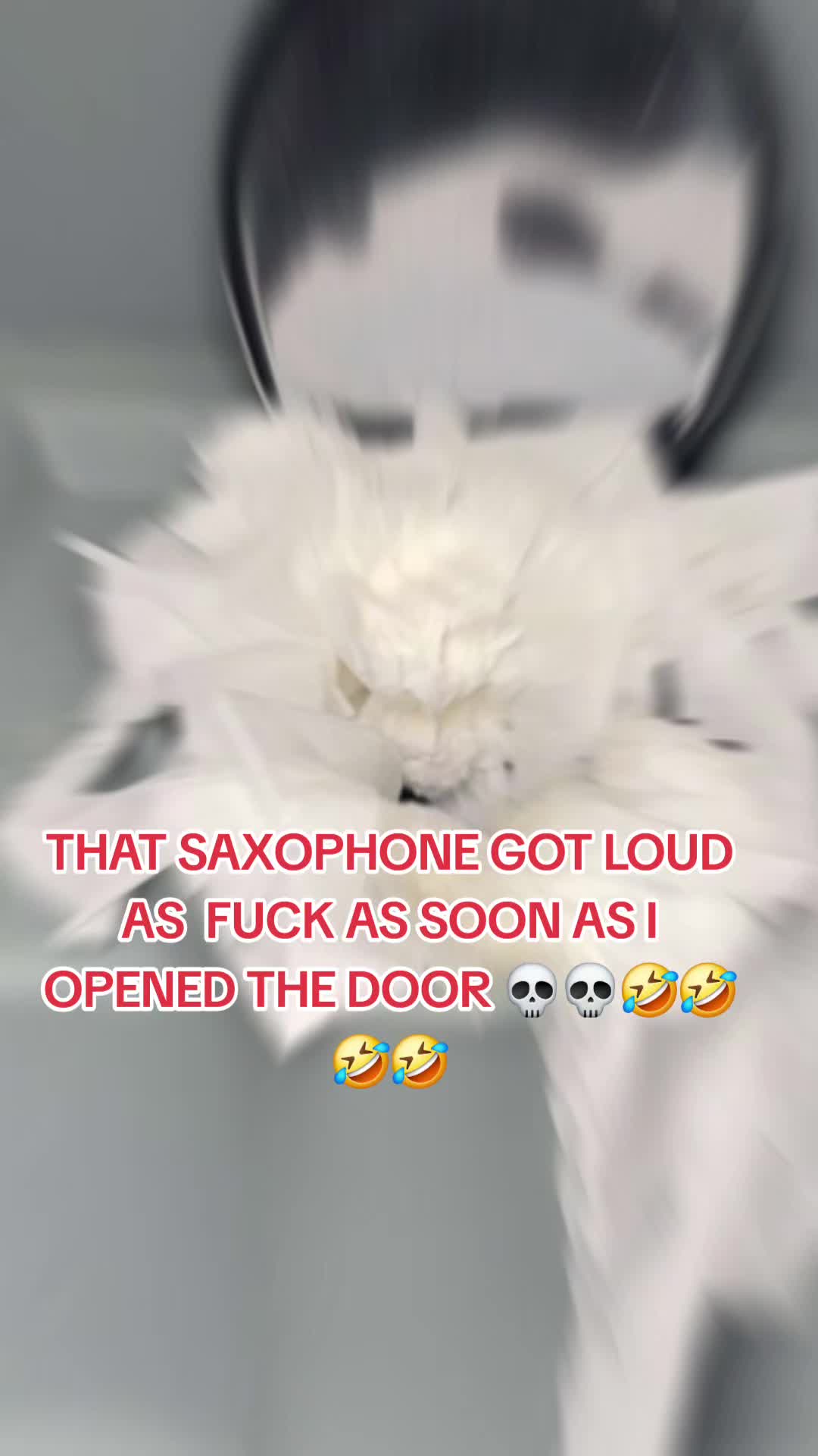 @PAPIJUANCHO1423