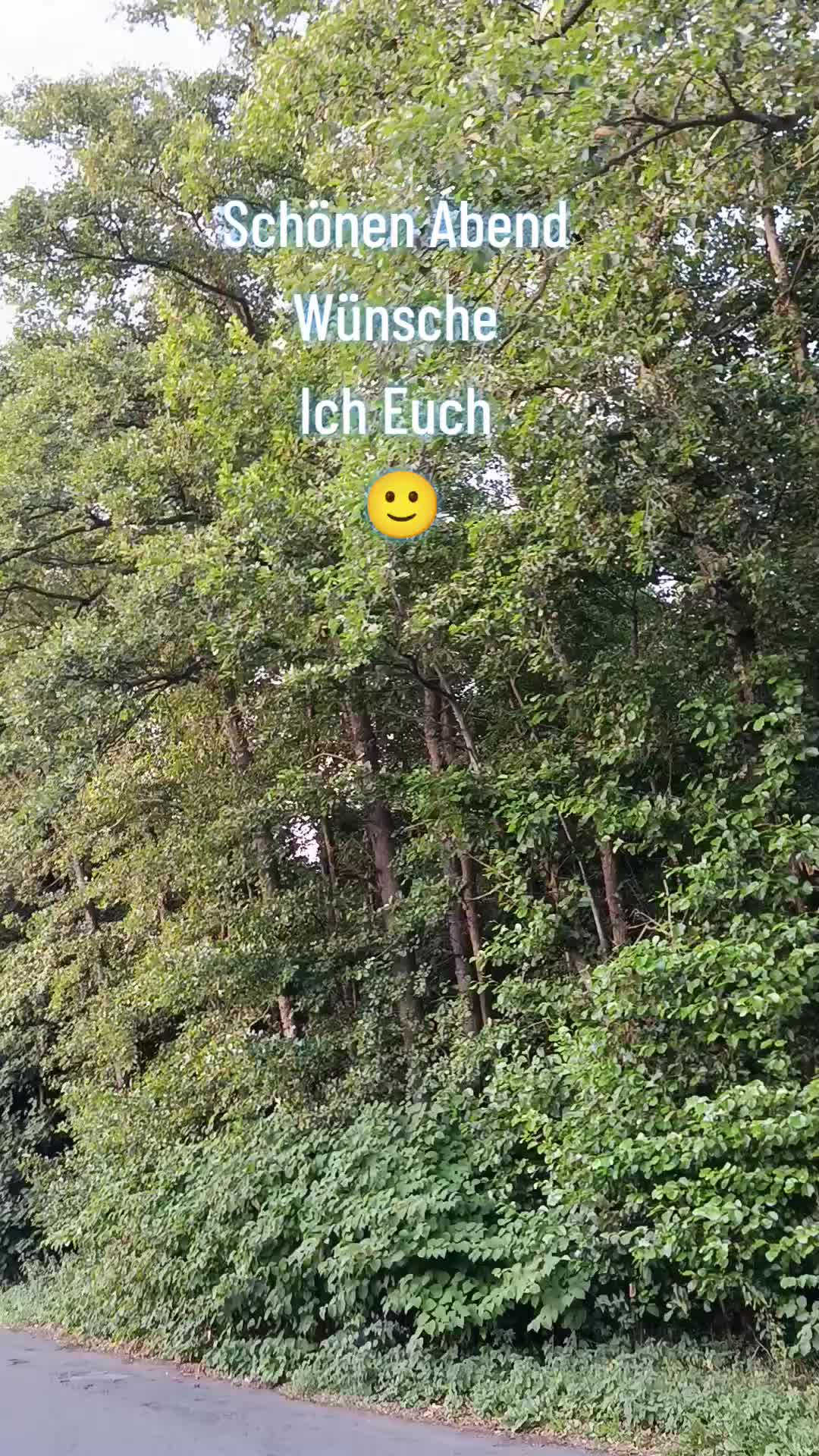 @44OLA4