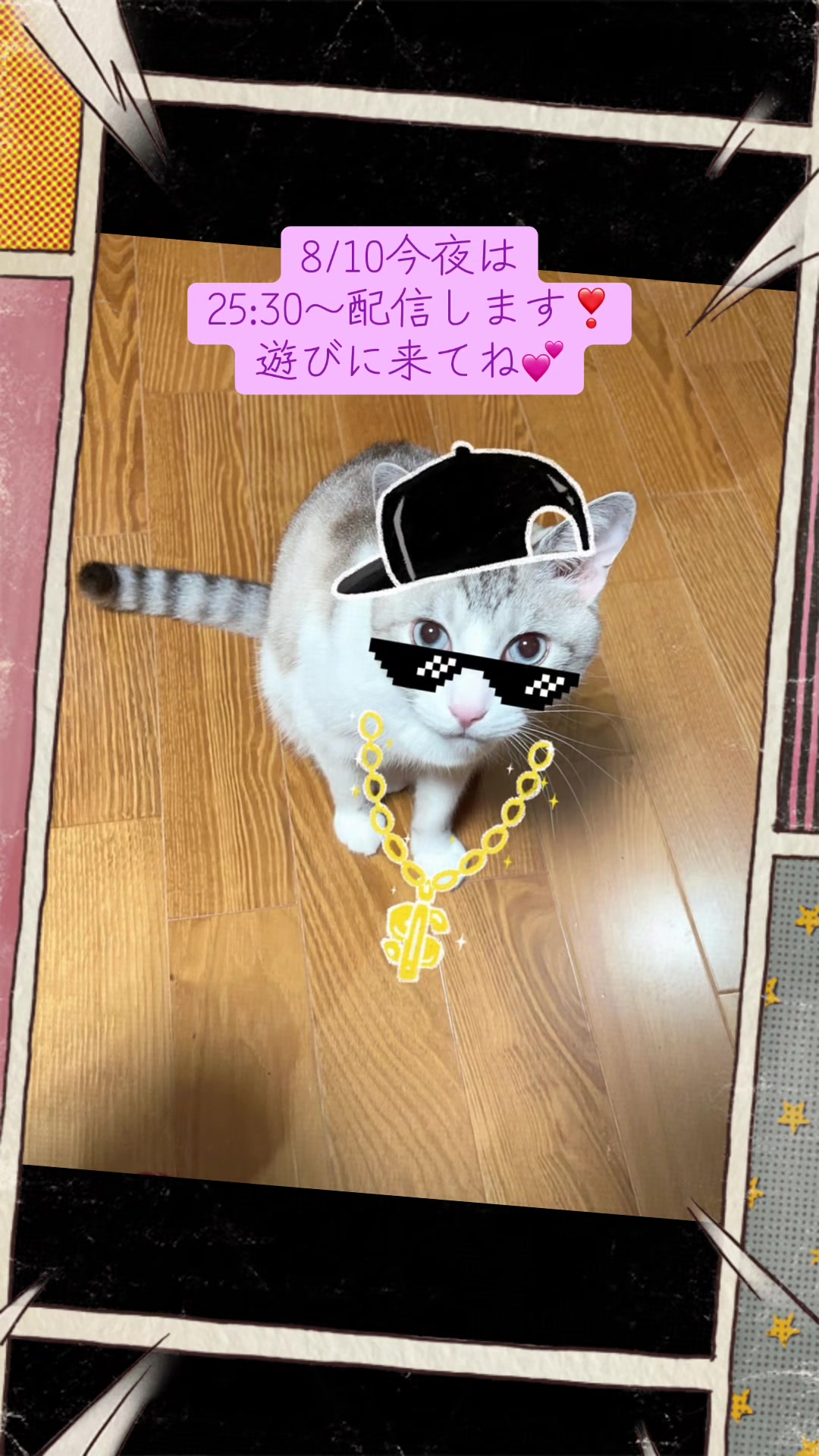 @ねこみみちゃん😸🍰🎀💌💗