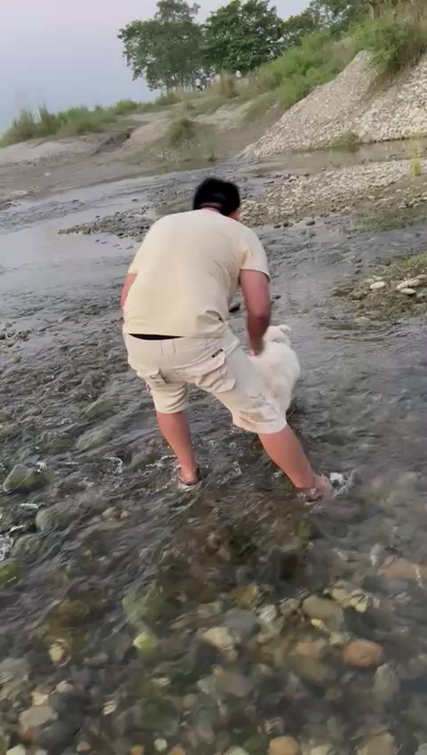 @shivashiva13___shivashiva13___