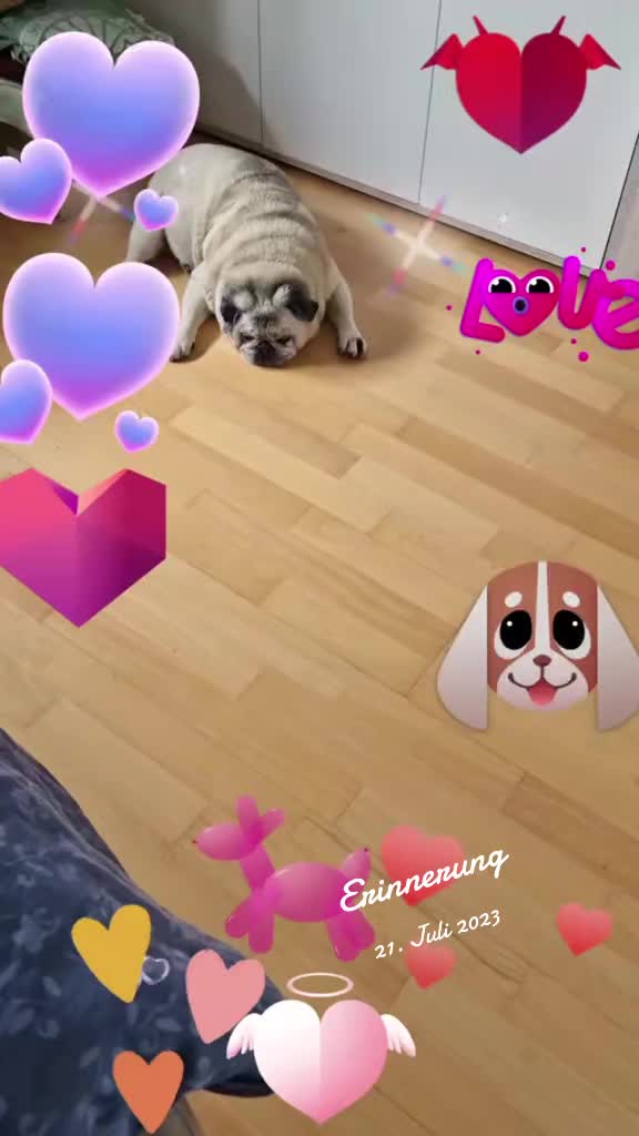 @Britti_Syke_Mops