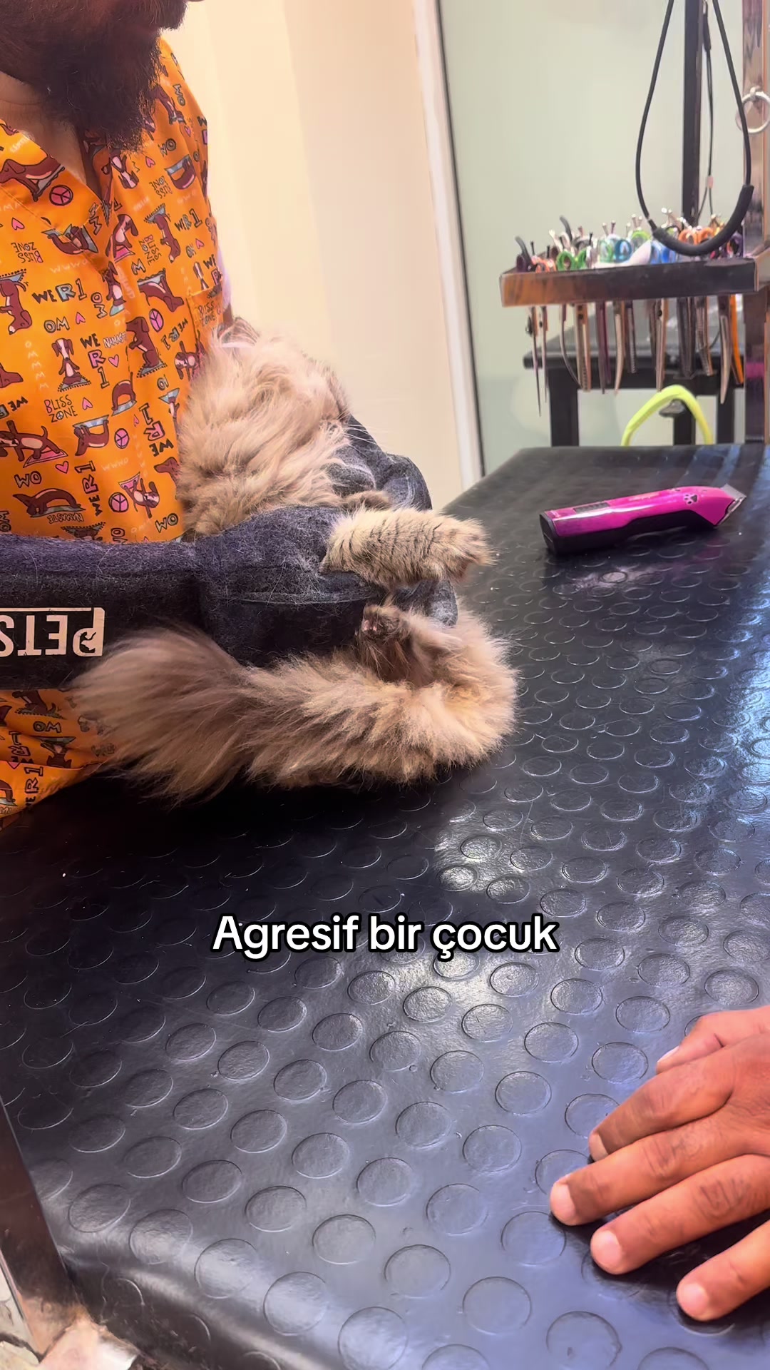 @Rabia Akbulut