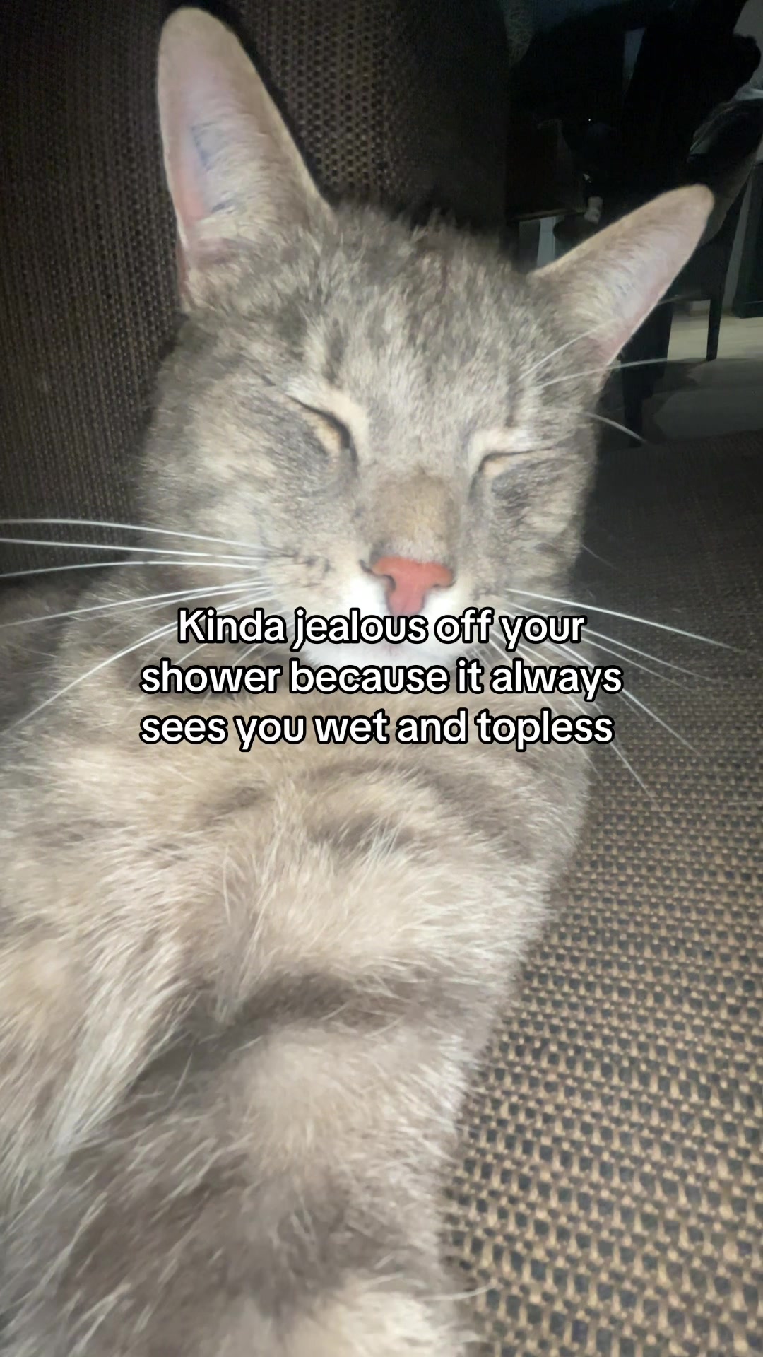 @Micky