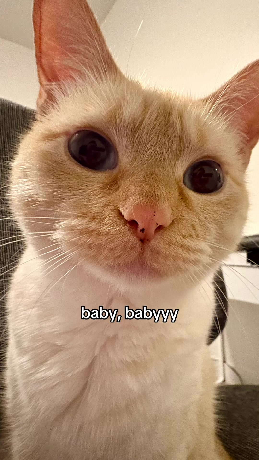 @dangitsjudyy