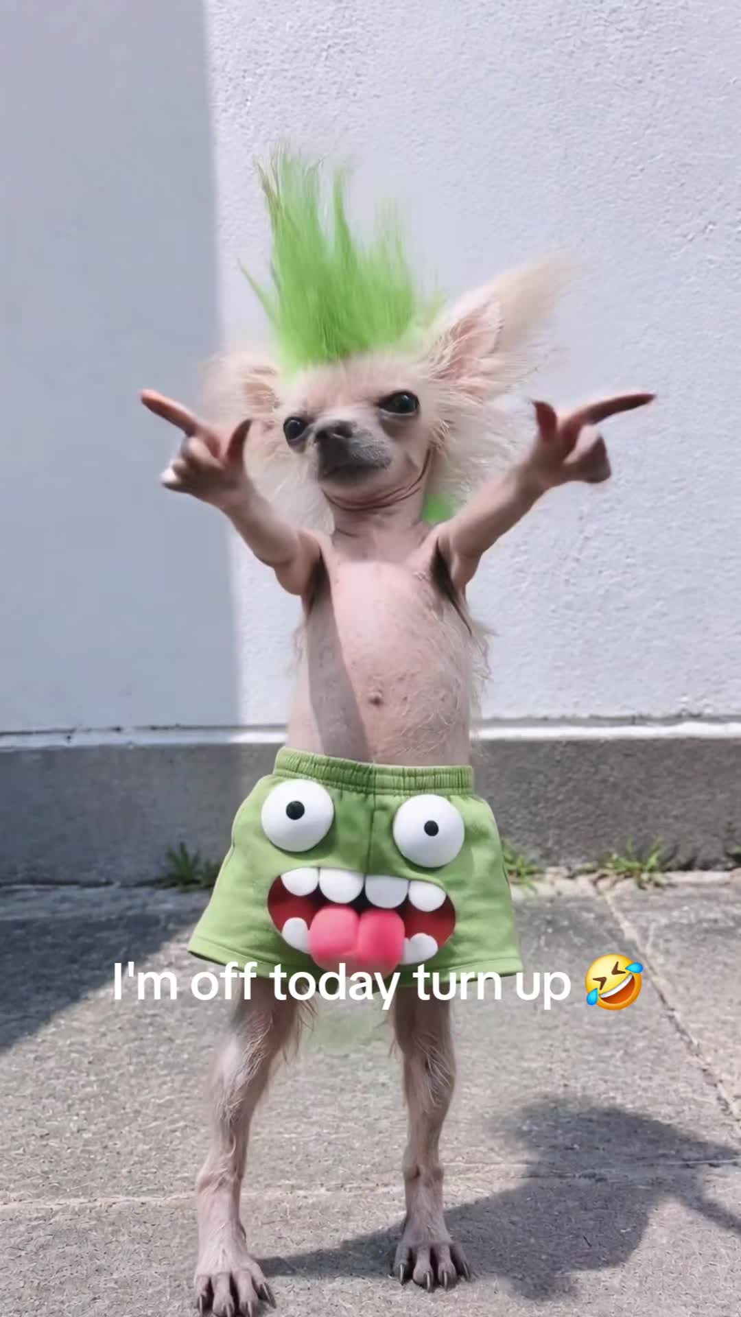 @crissofly82