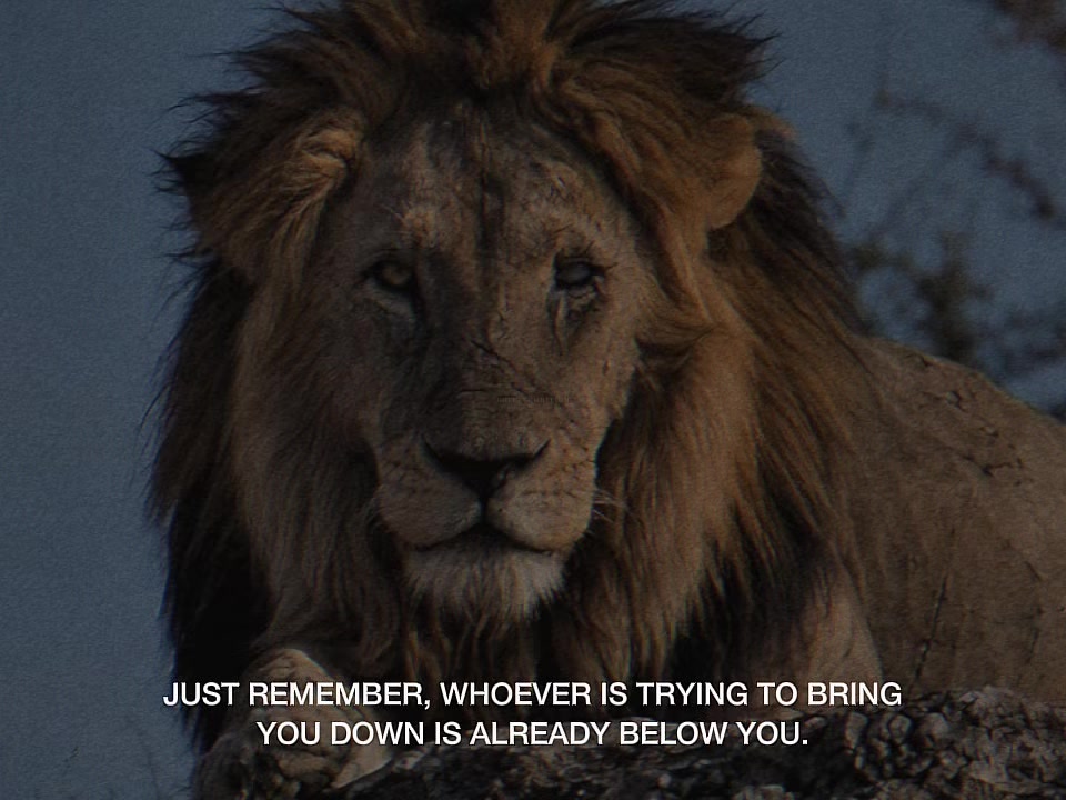@Gritty Ambition