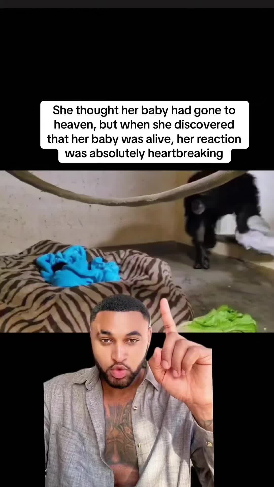 @justrod