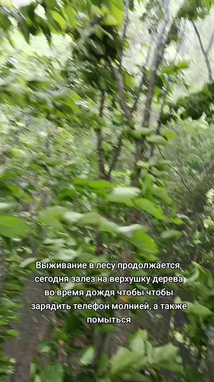 @Лучезарный хрякᛉ