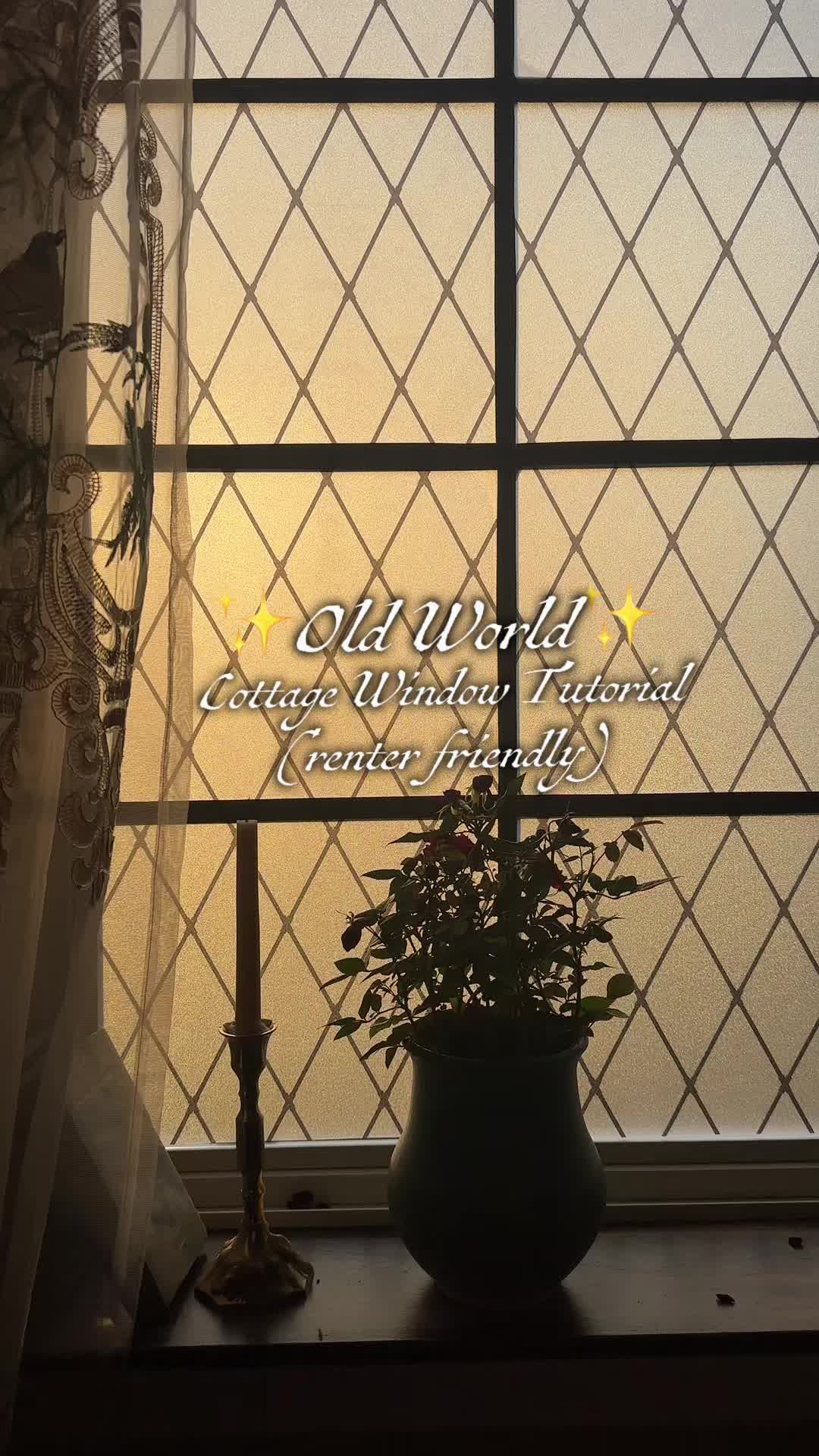 @✧ 𝑪𝒐𝒖𝒓𝒕𝒏𝒆𝒚 𝑭𝒐𝒙 ✧