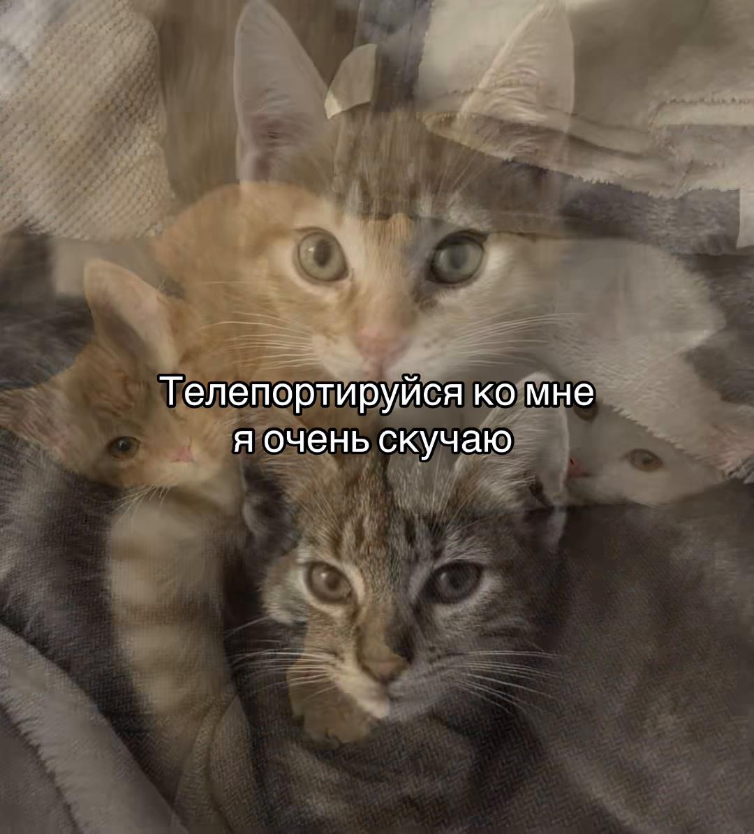 @ 