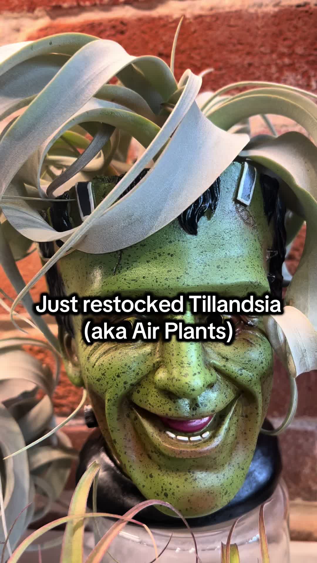 @Rootskc