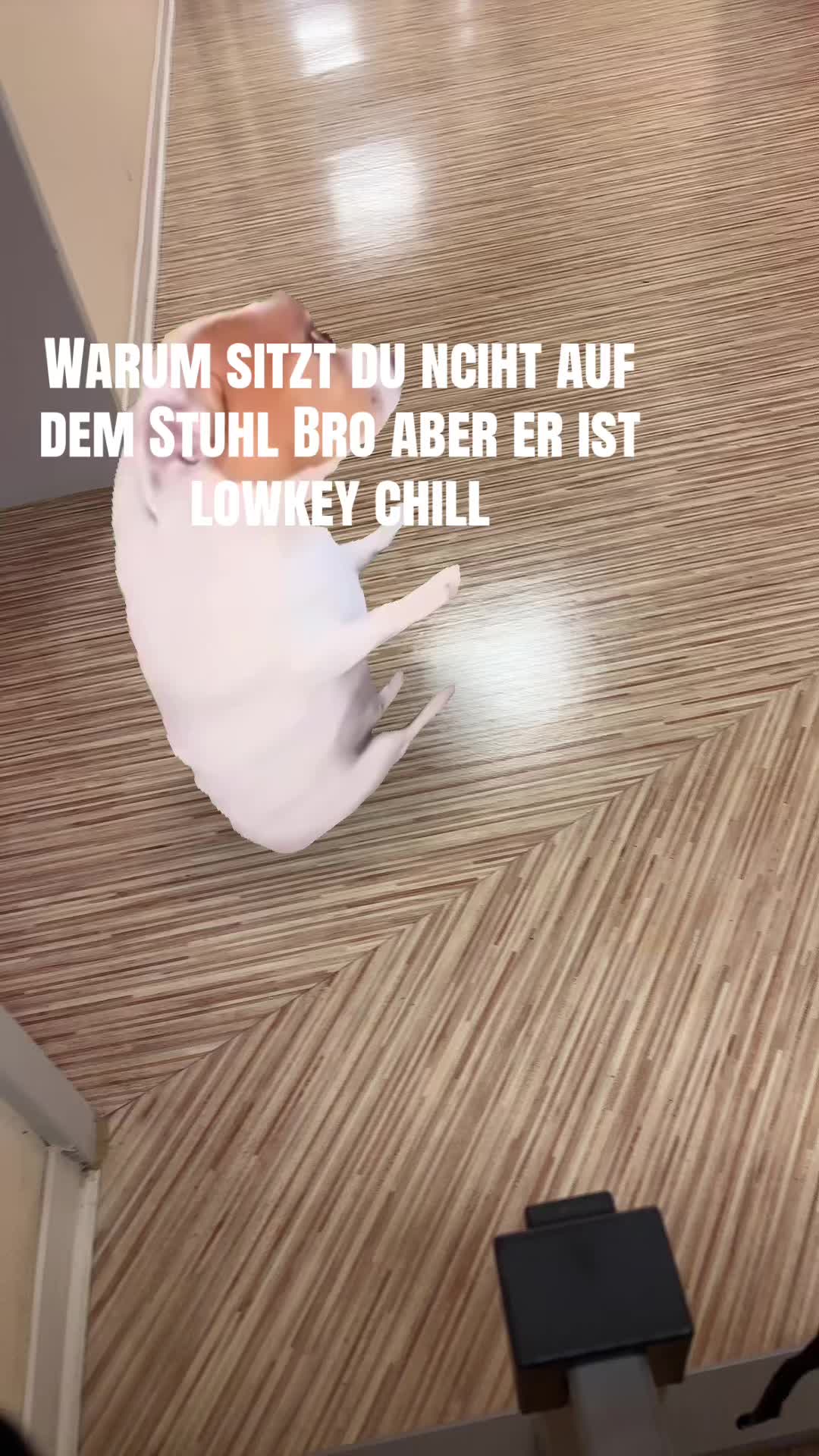 @𝐒𝐨𝐟𝐢𝐞🦅🇩🇪