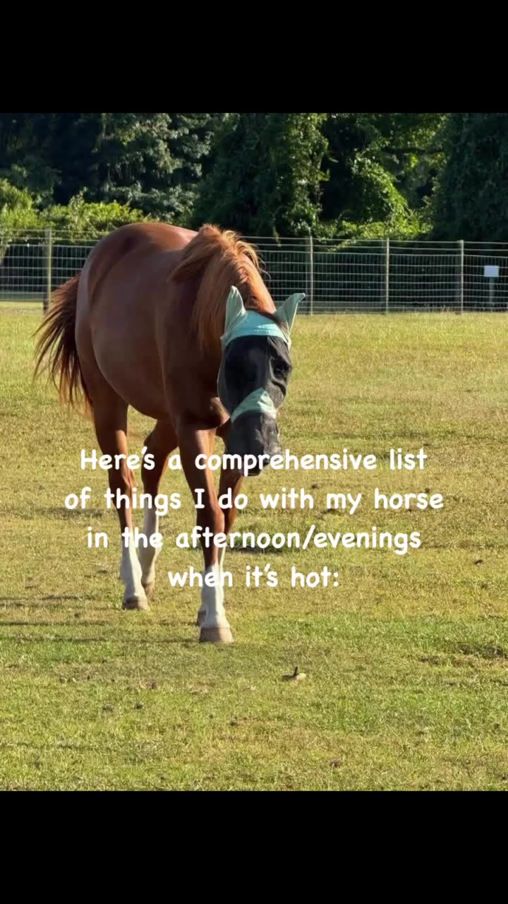 @Horselife
