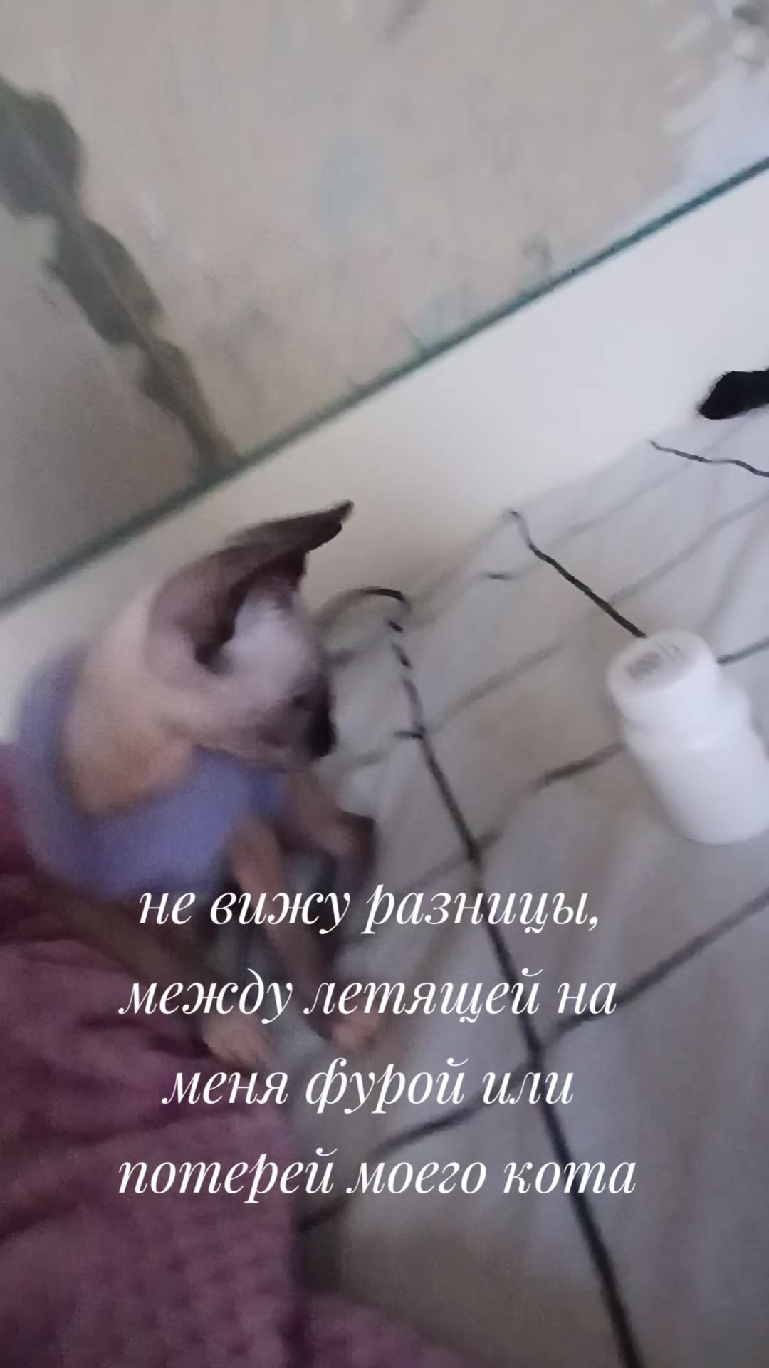 @mawszxa(!)#