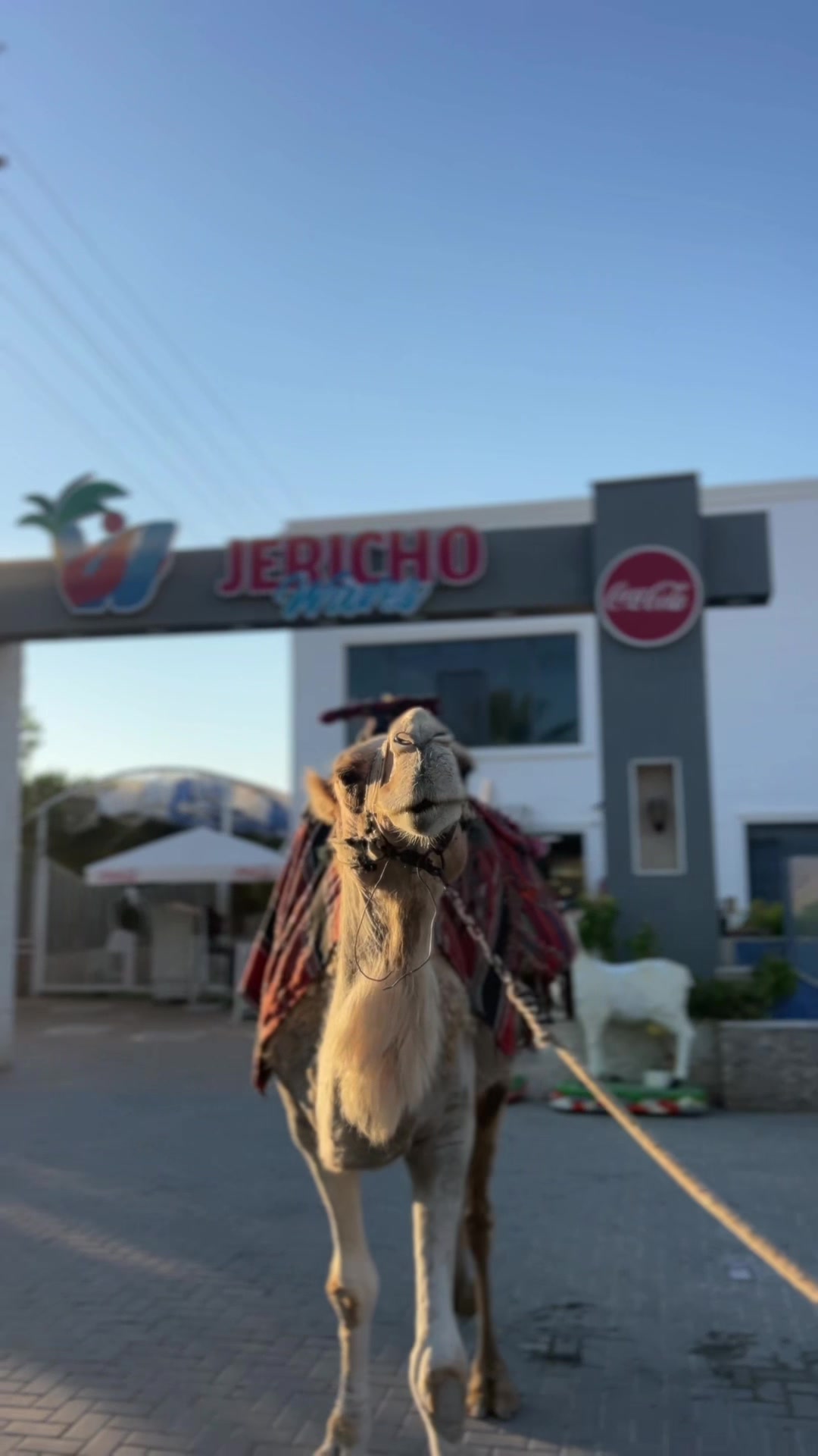 @Jericho waves