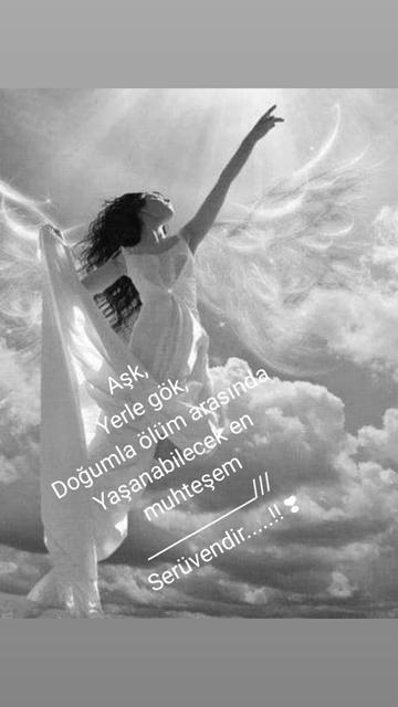 @BİR SERÇENİN GÖZYAŞ🕊️🕊️🕊️