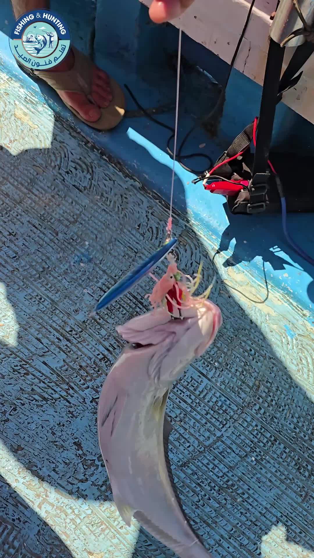 @قناة تعلم فنون الصيد