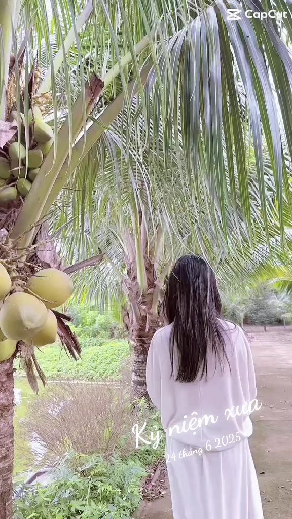@Diệu Hiền