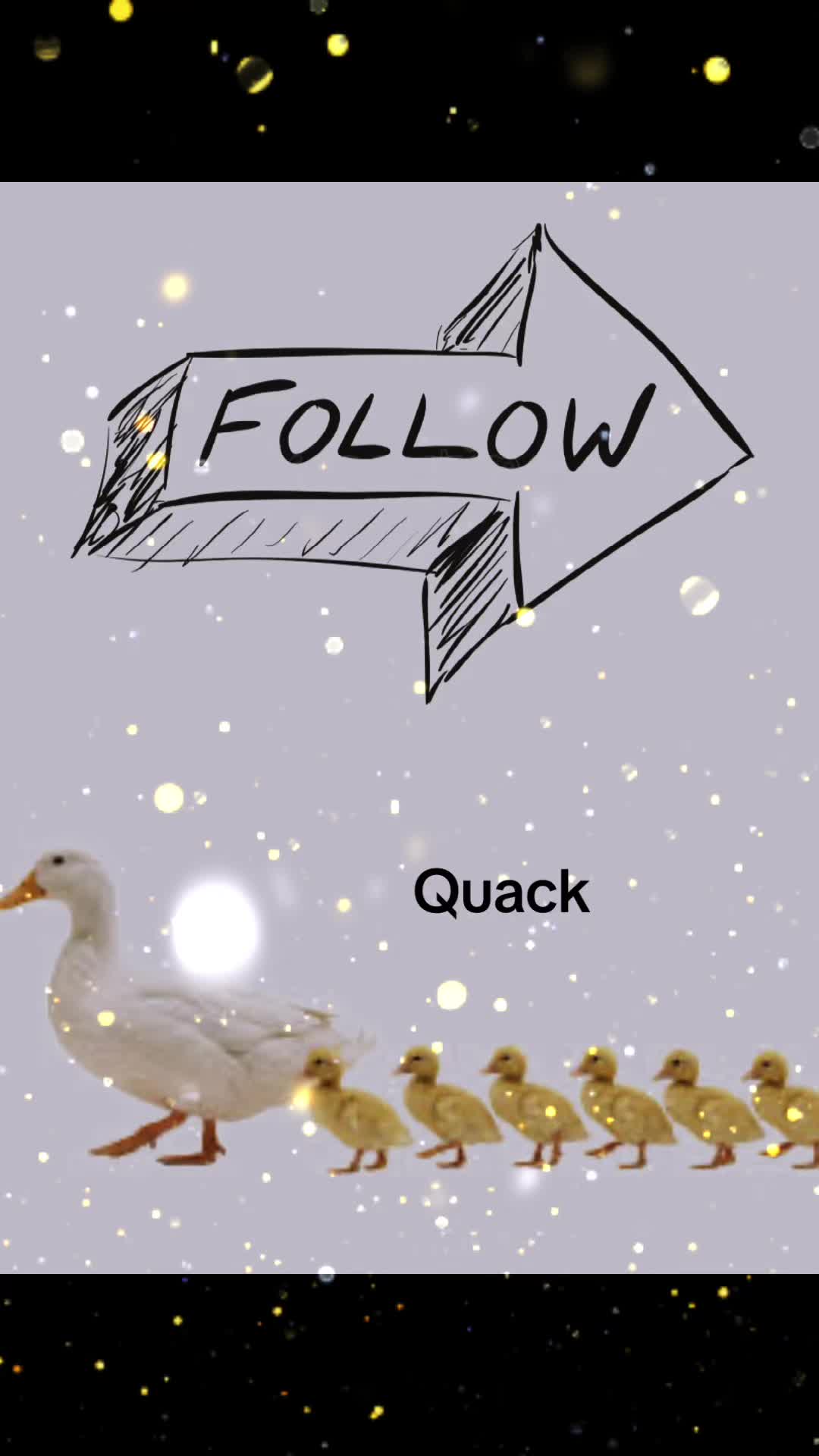 @Sir Quackington