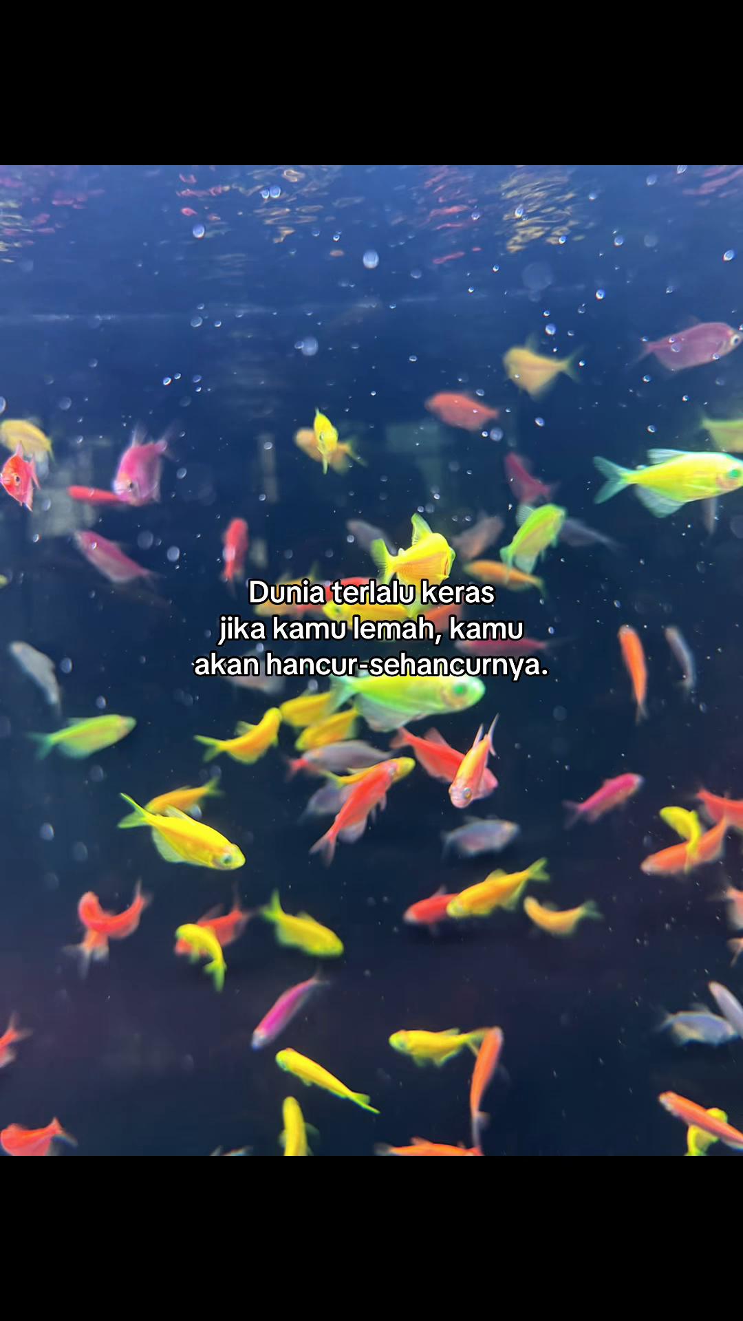 @ꜱ ᴇ ʟ ᴠ ʏ ✞