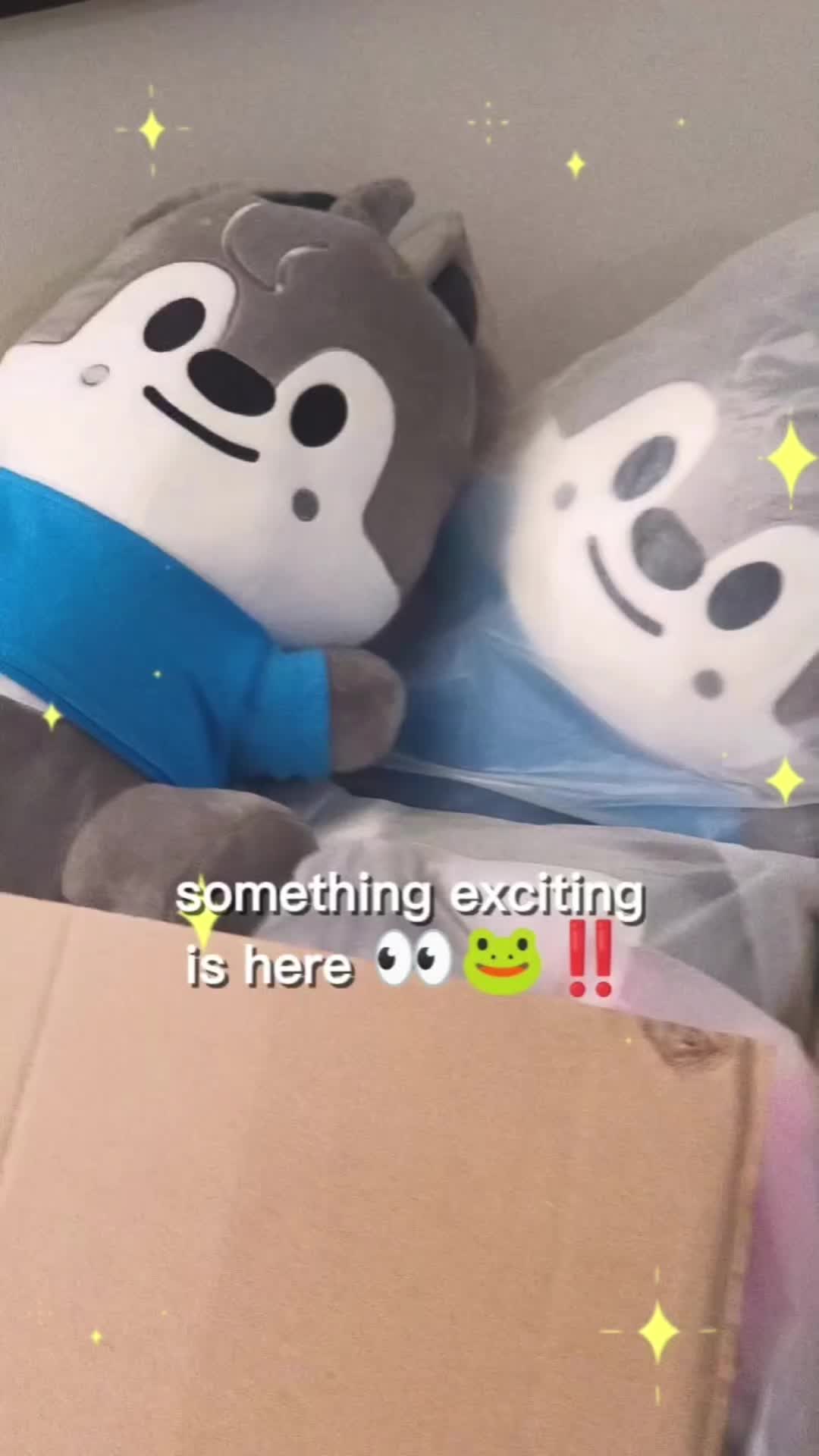 @Kaeguli KPOP Shop