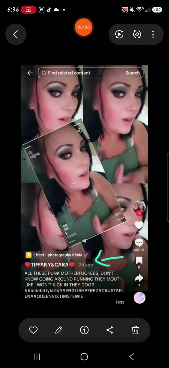 @Iddebittykitty