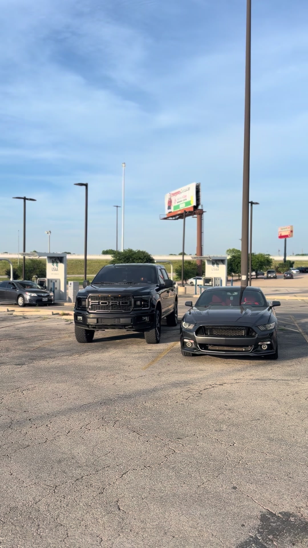 @bald.shenanigans