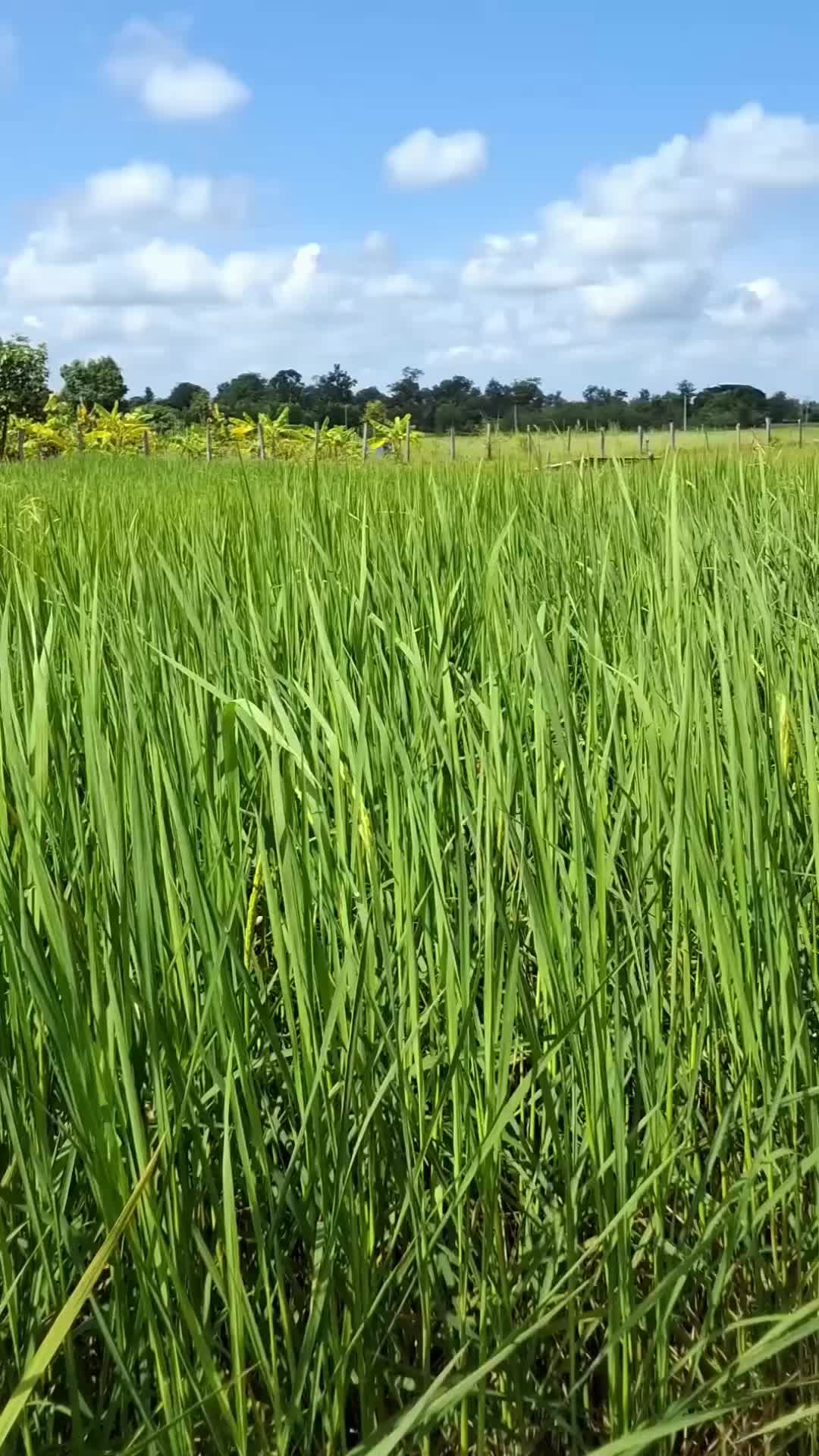 @Buy Land for Less