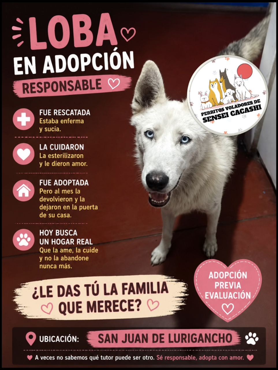 @Perritos Voladores