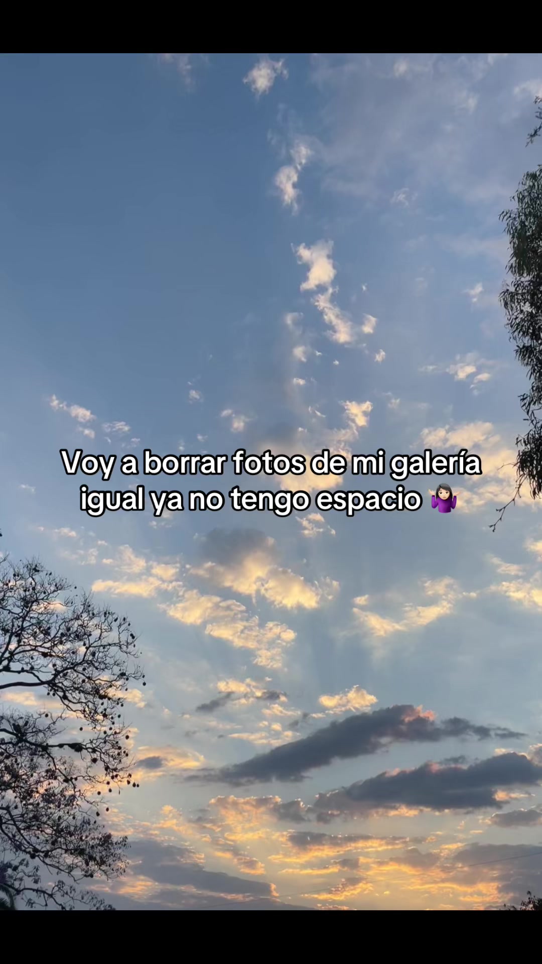 @Yocc✨🦅