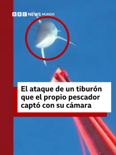 @BBC News Mundo