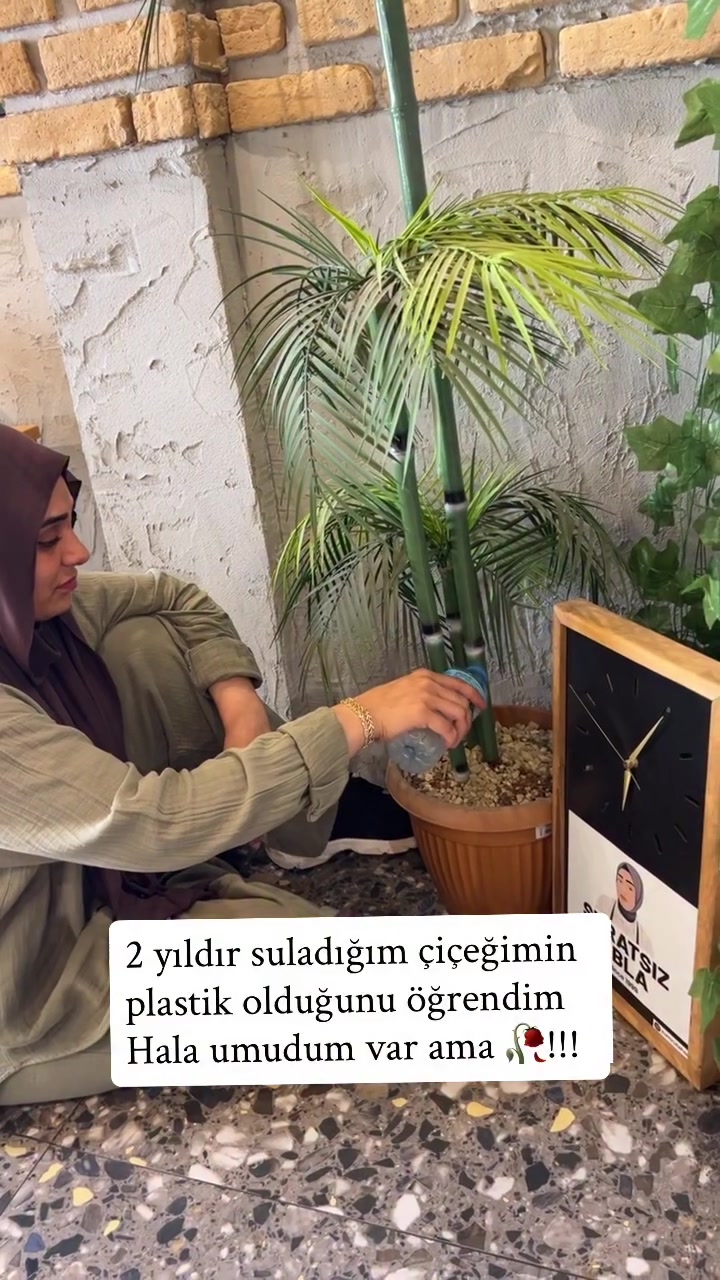 @𓆰𝑺𝑼𝑹𝑨𝑻𝑺𝑰𝒁 𝑨𝑩𝑳𝑨🎭
