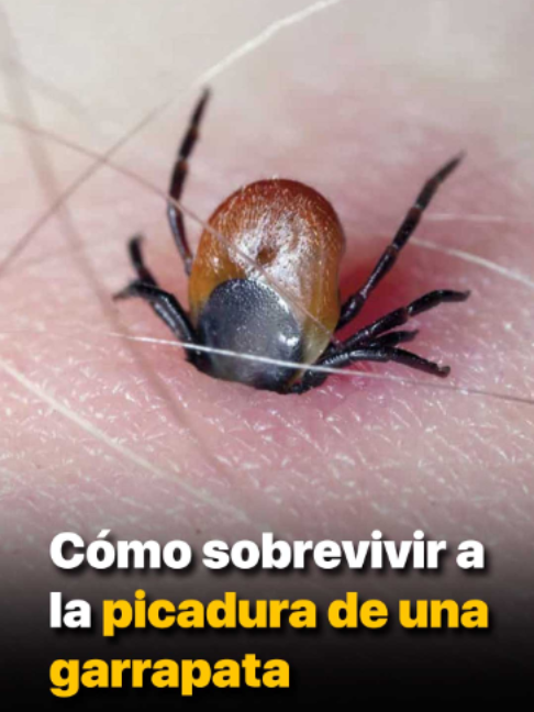 @Primeros Auxilios